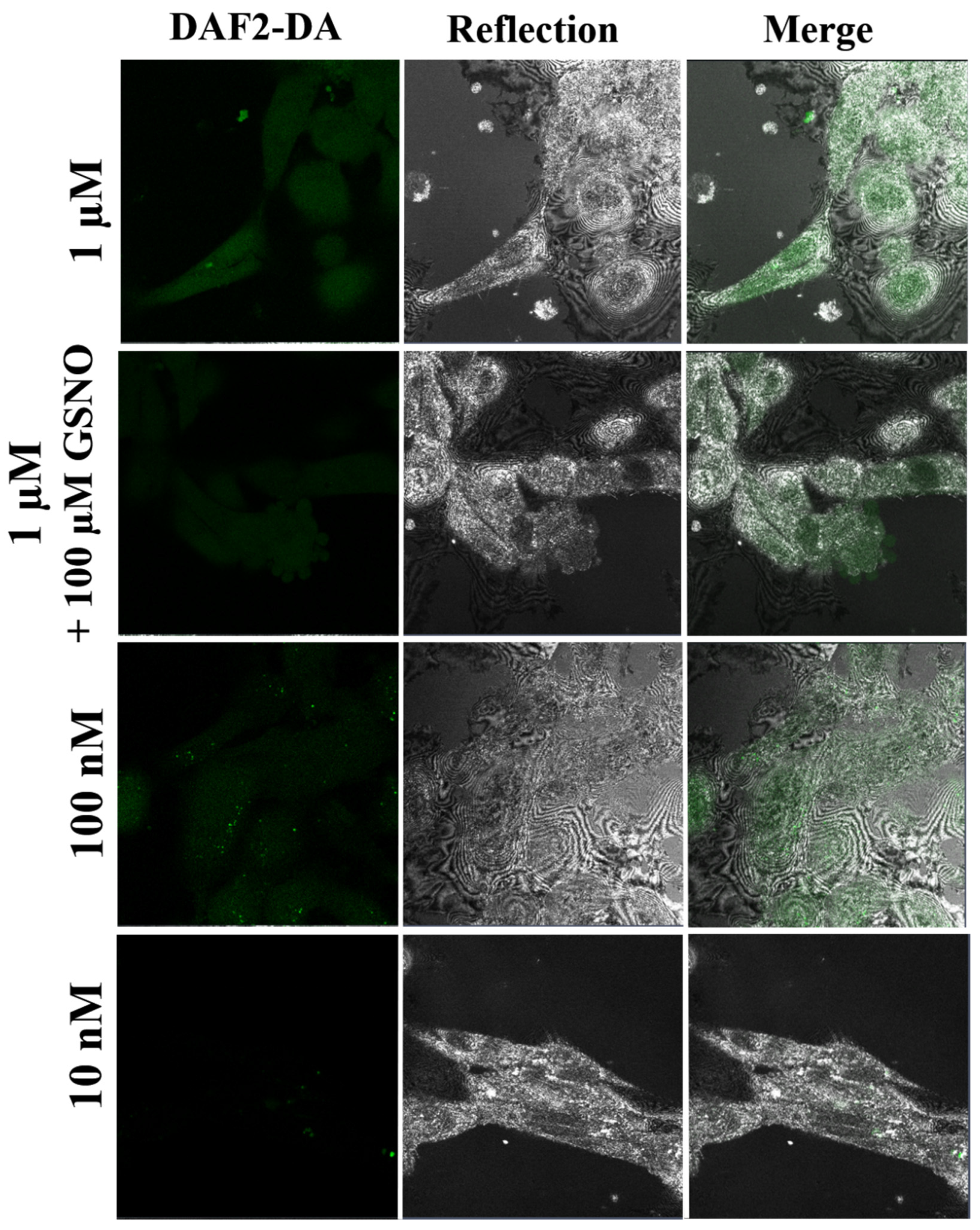 Molecules 27 01010 g007 550
