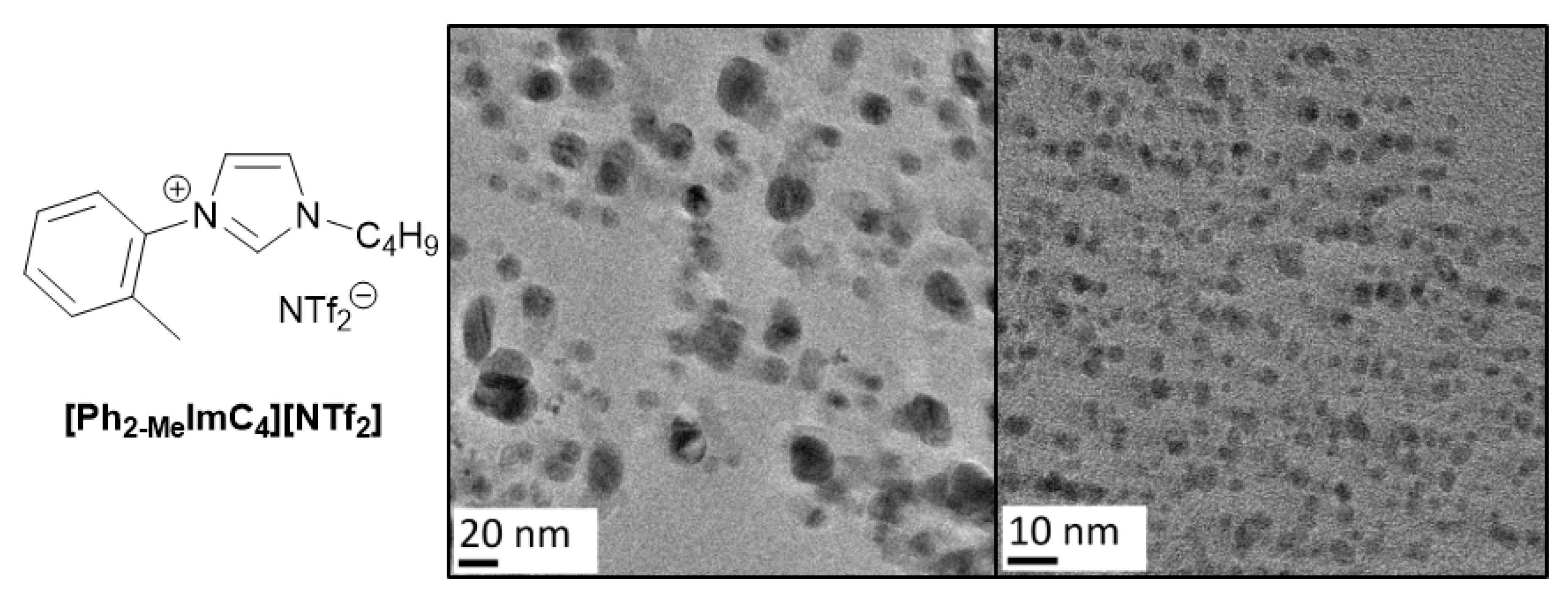 Molecules 27 01018 g006