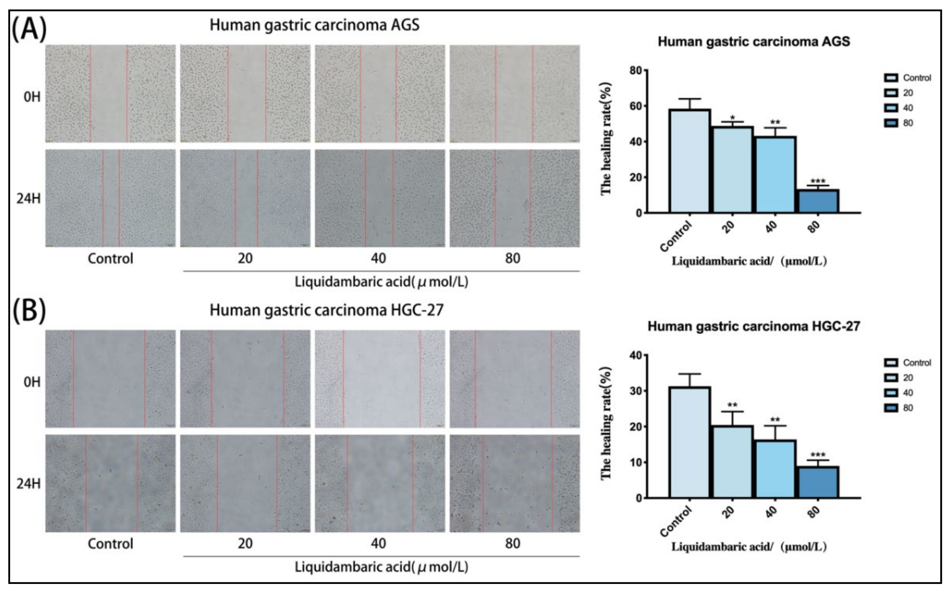 Molecules 27 01025 g003