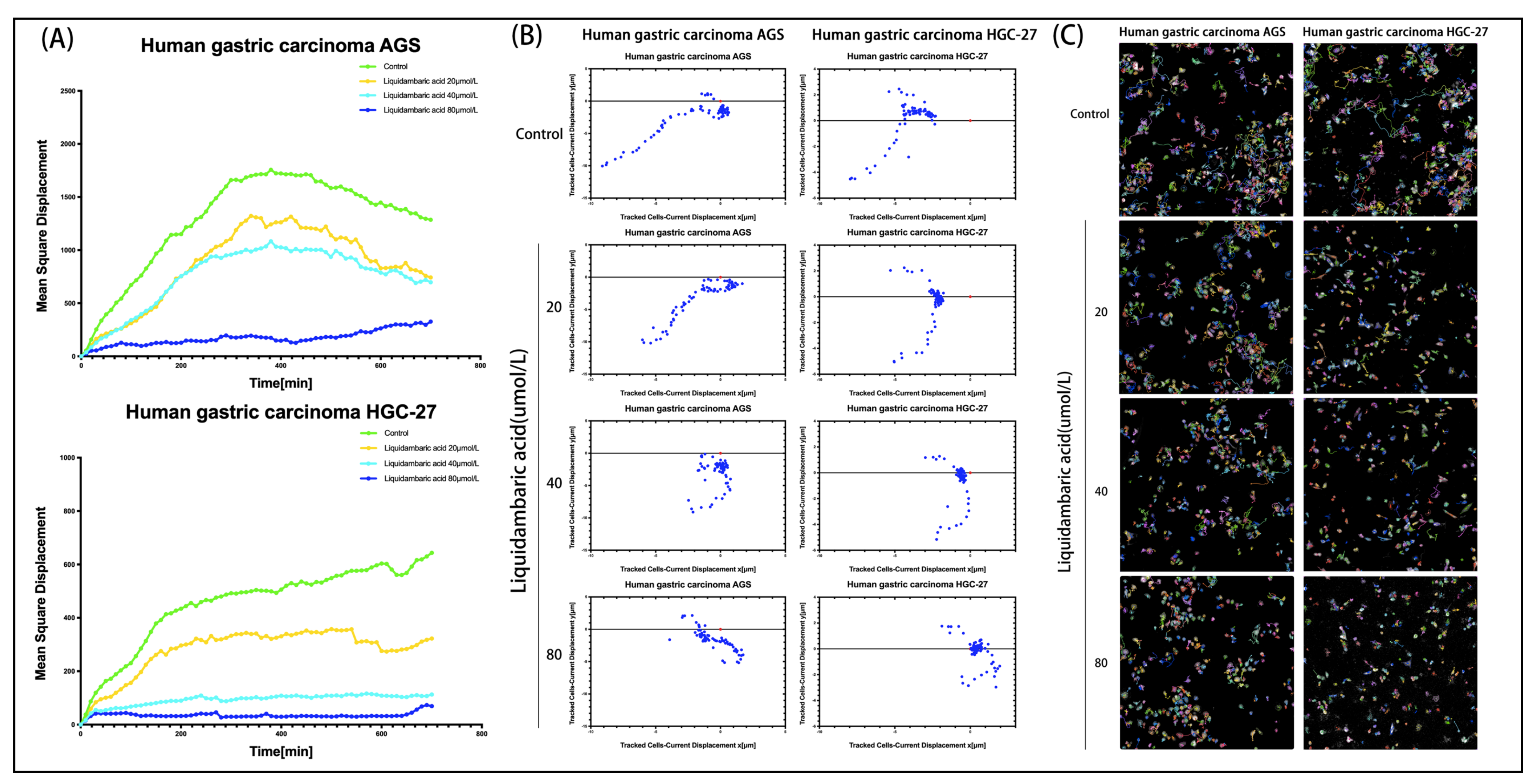 Molecules 27 01025 g005