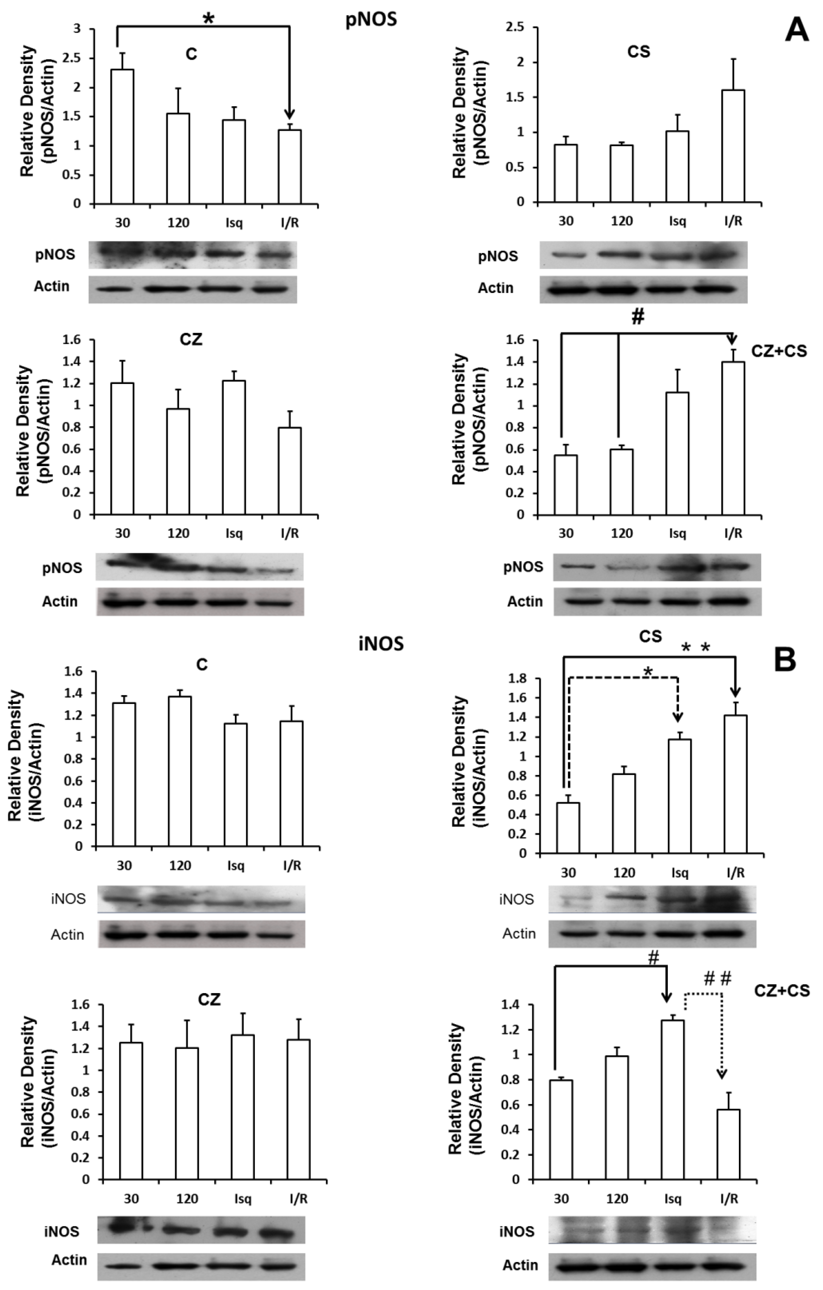 Molecules 27 01031 g006 550