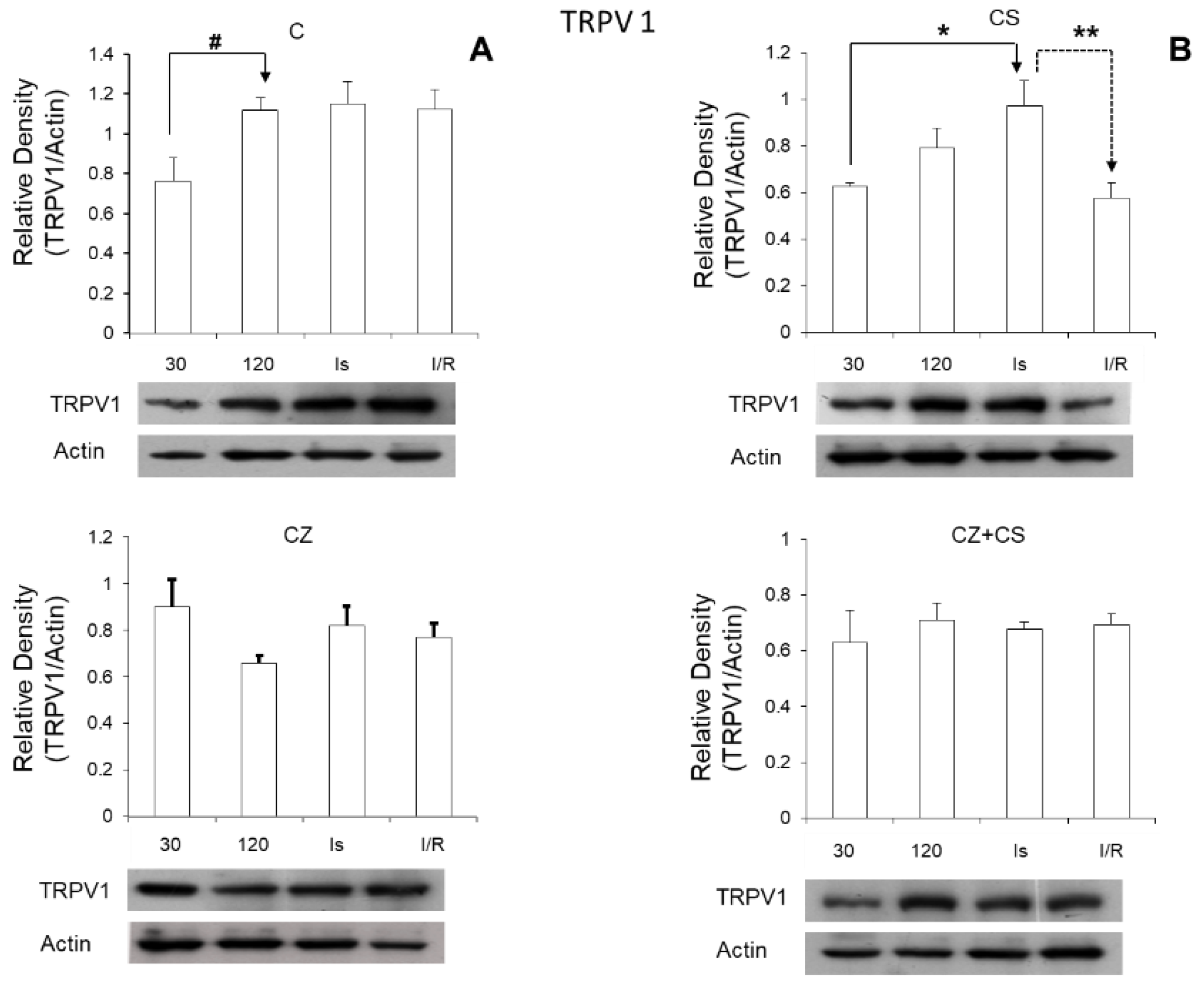 Molecules 27 01031 g007 550