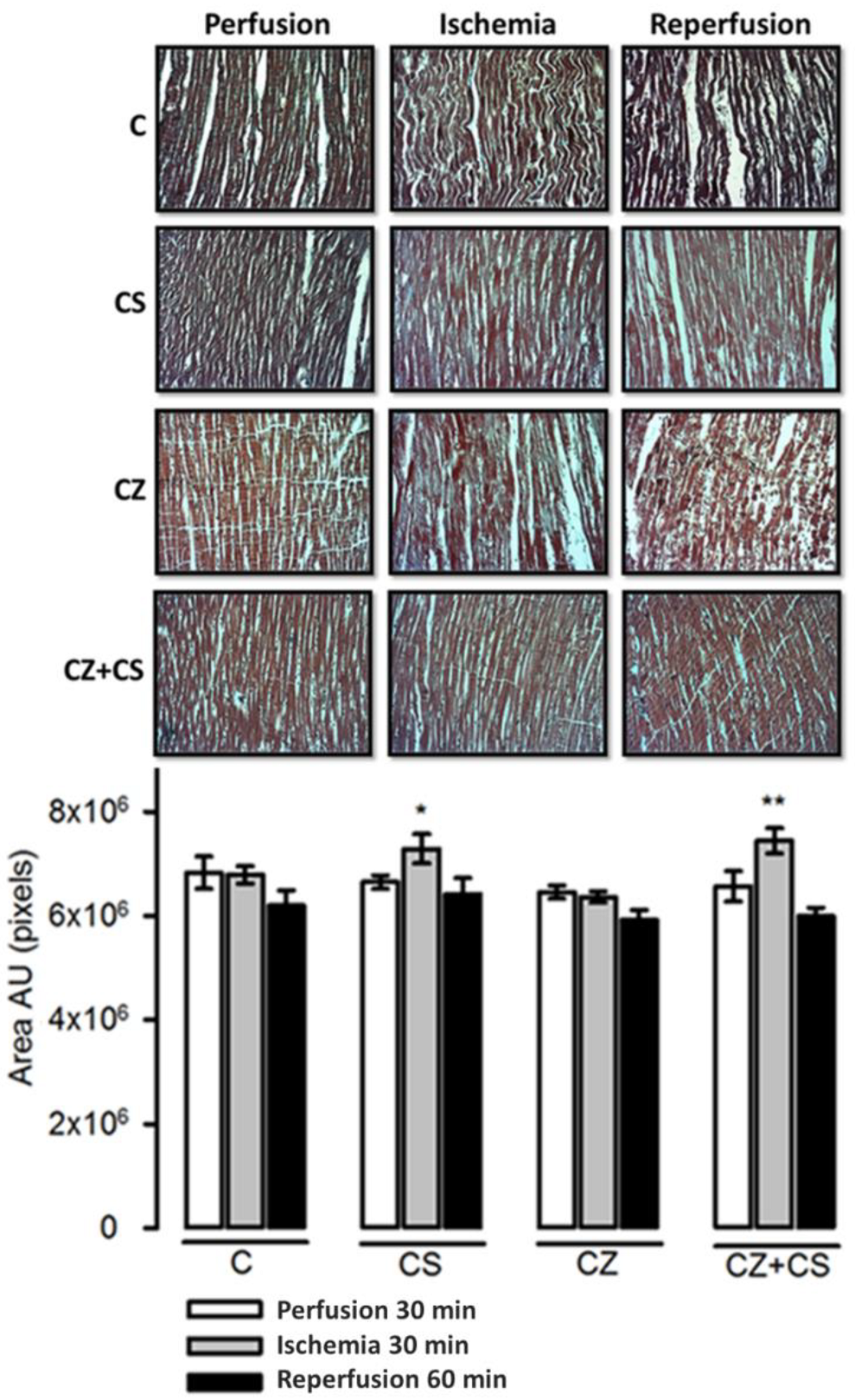 Molecules 27 01031 g008 550