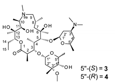 Molecules 27 01034 i001