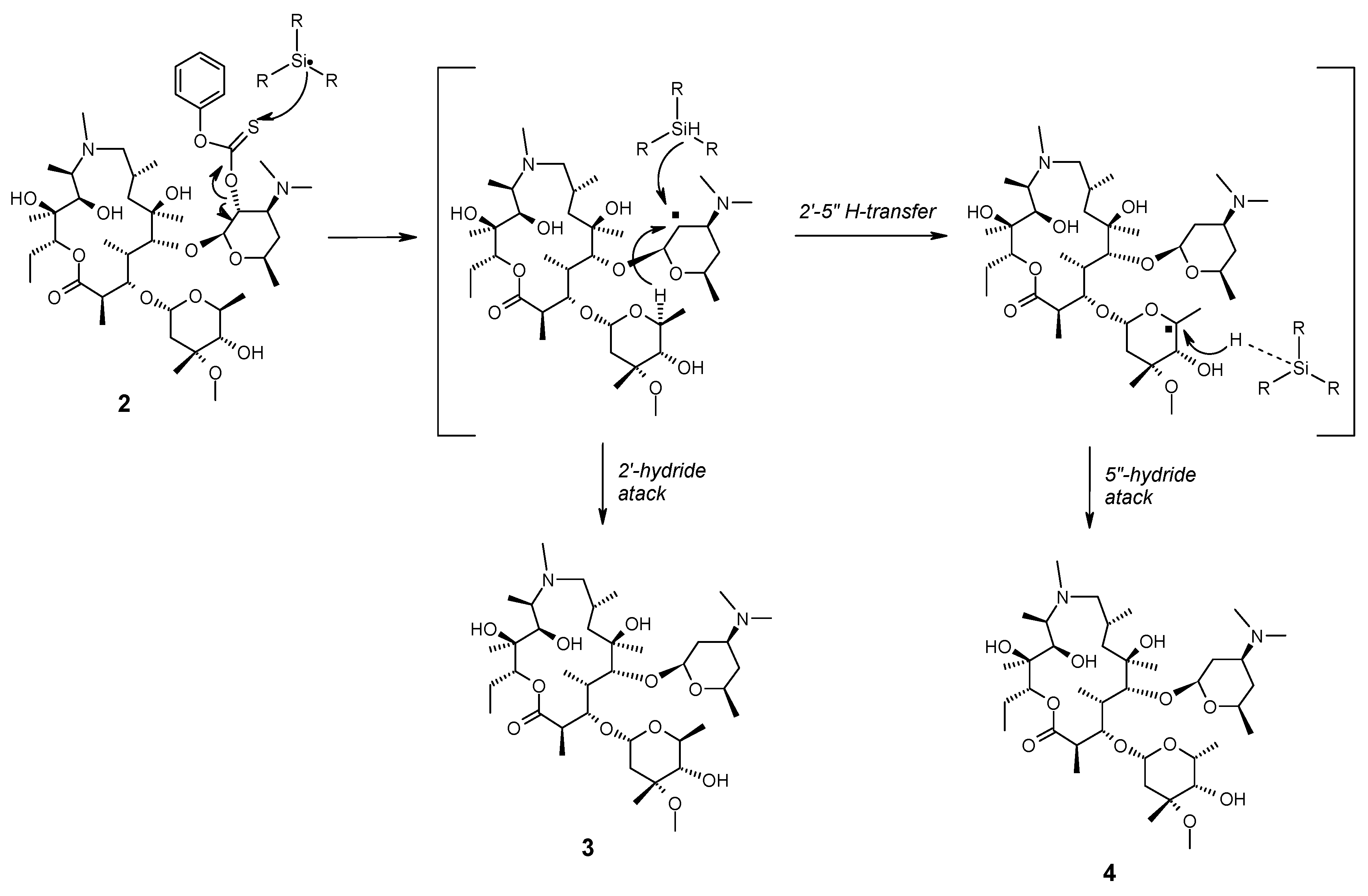 Molecules 27 01034 sch002