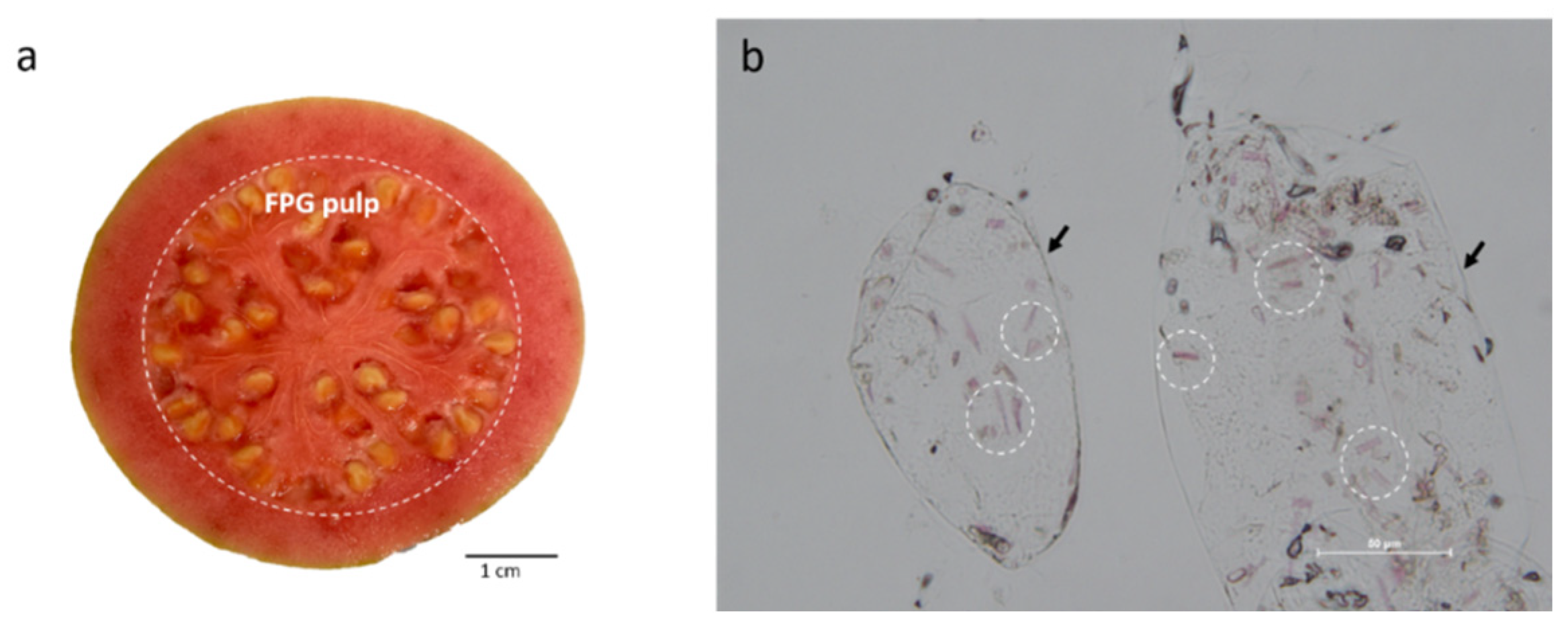 Molecules 27 01038 g001