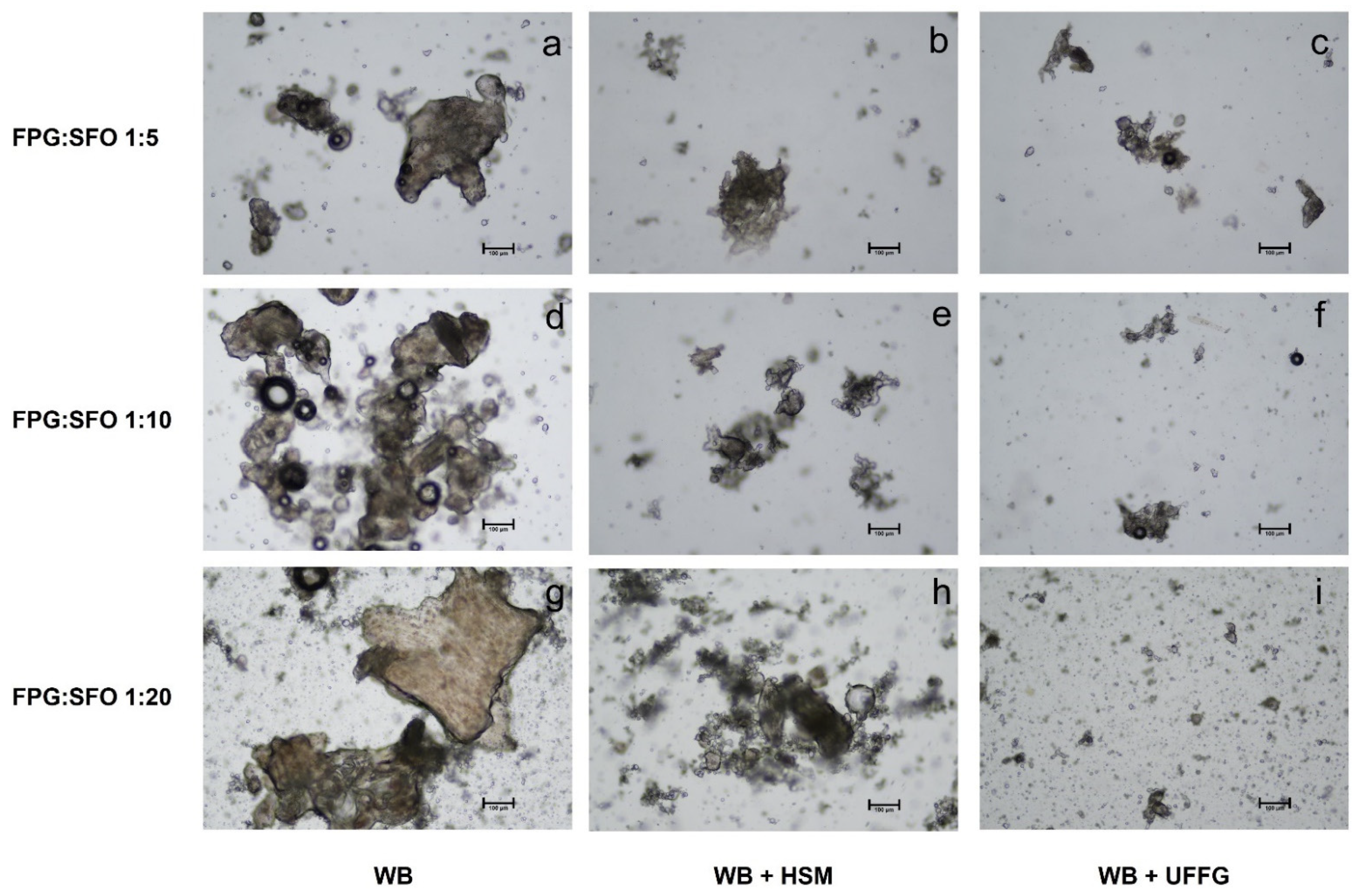 Molecules 27 01038 g002