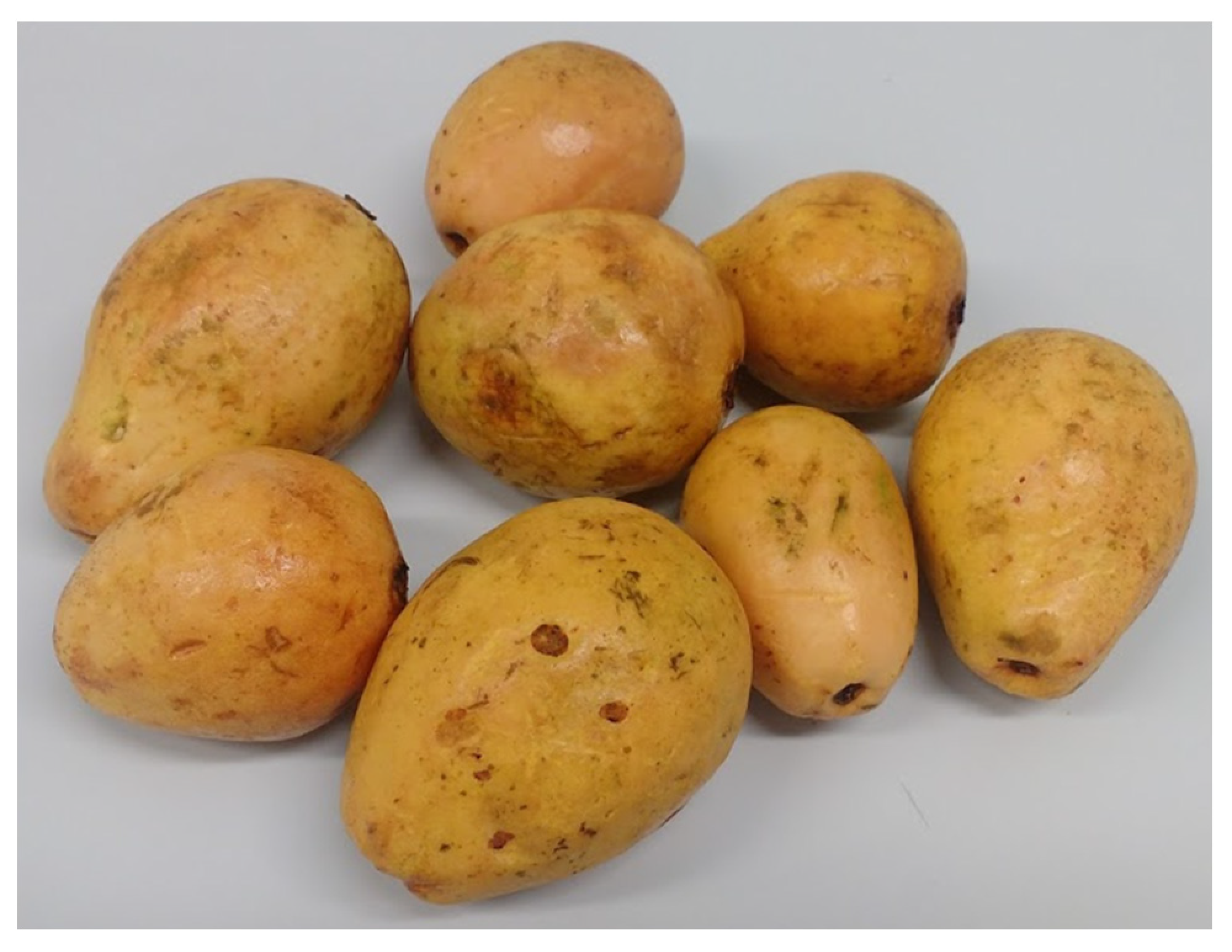 Molecules 27 01038 g005