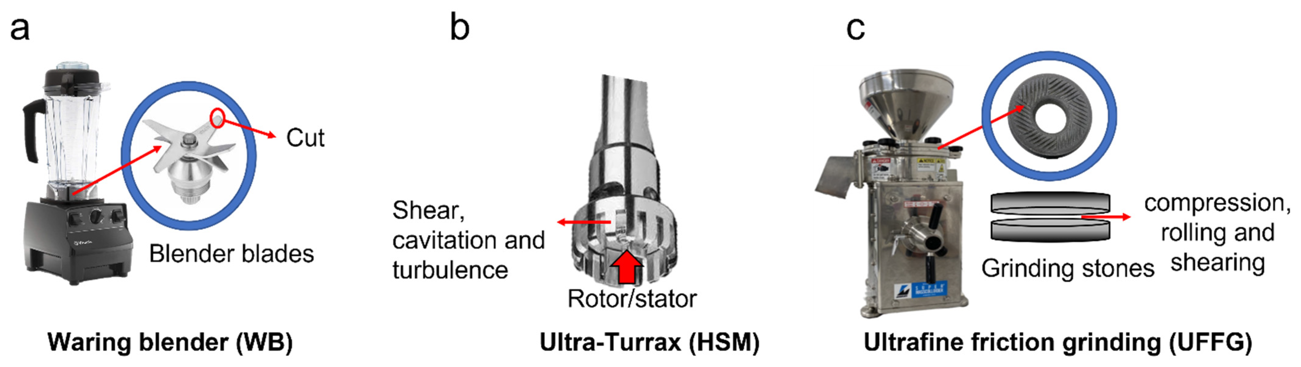 Molecules 27 01038 g006