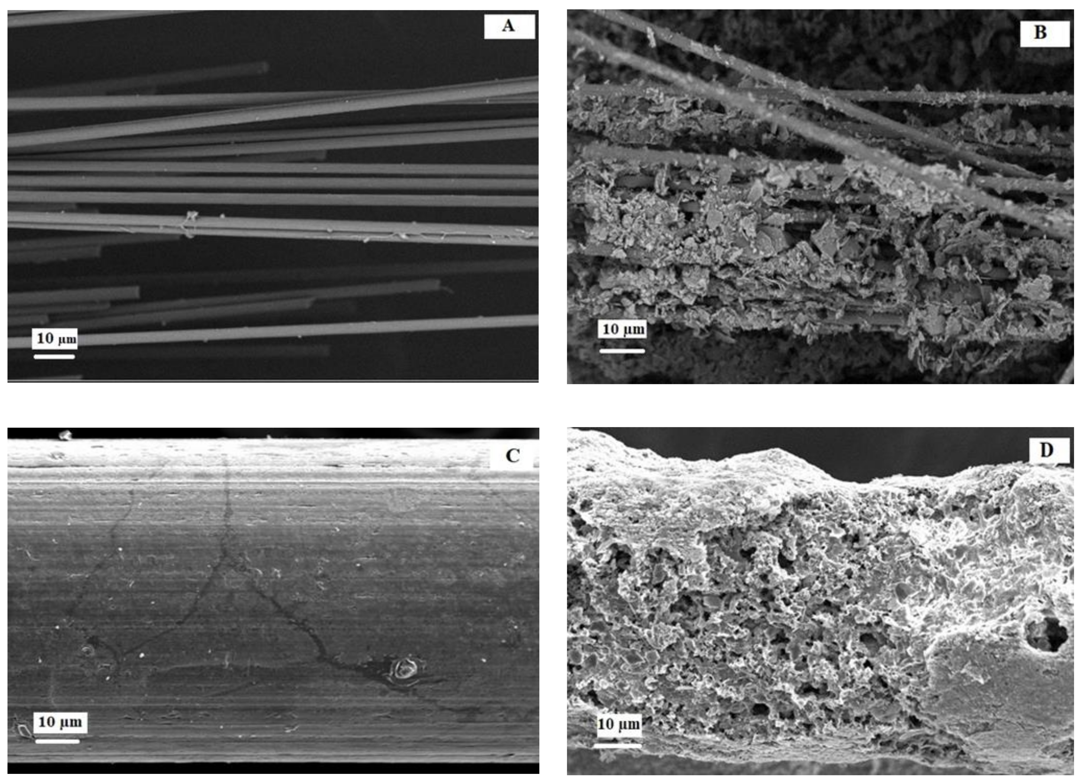 Molecules 27 01045 g004 Molecules 27 01045 g004