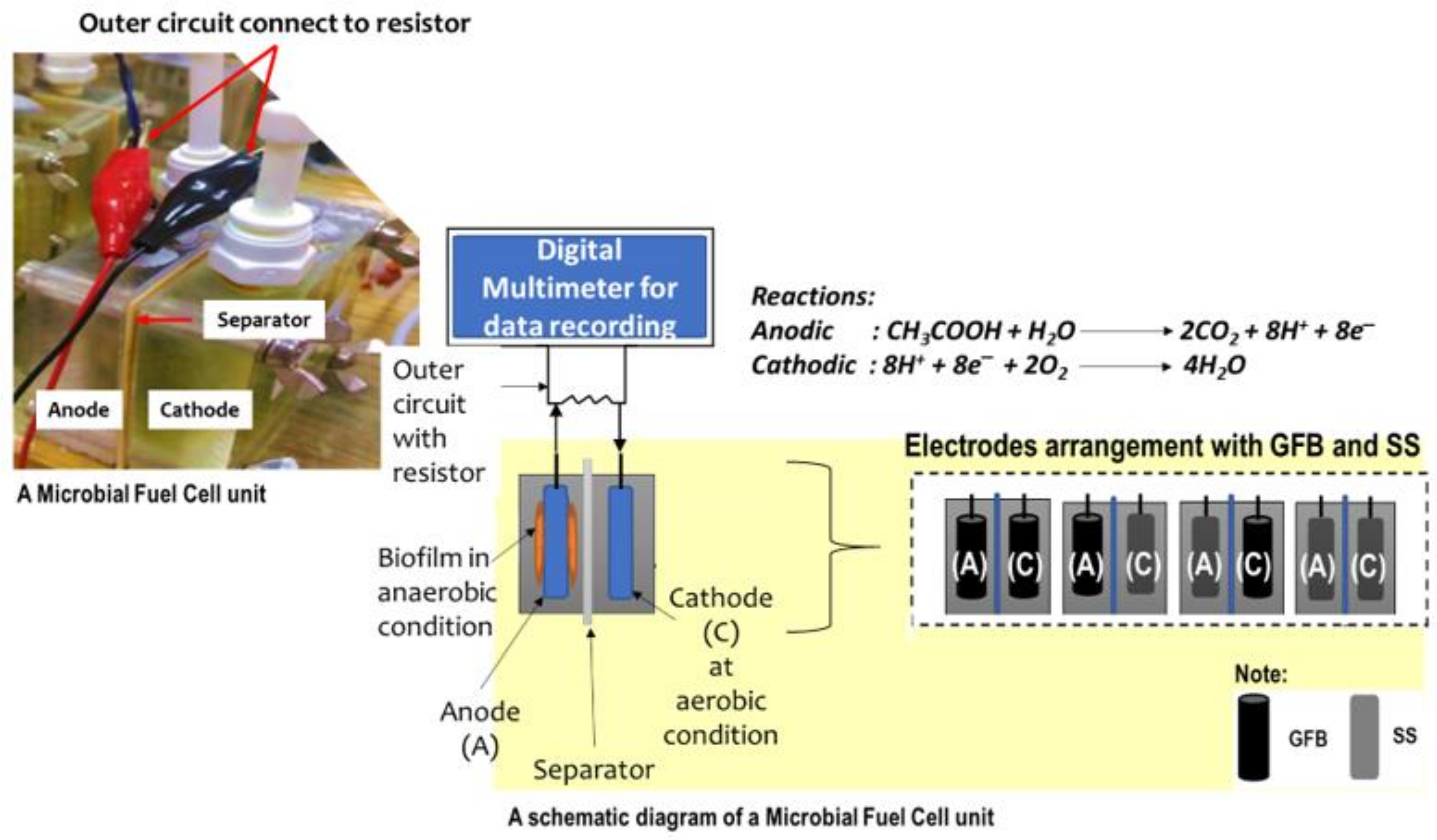 Molecules 27 01045 g005 Molecules 27 01045 g005