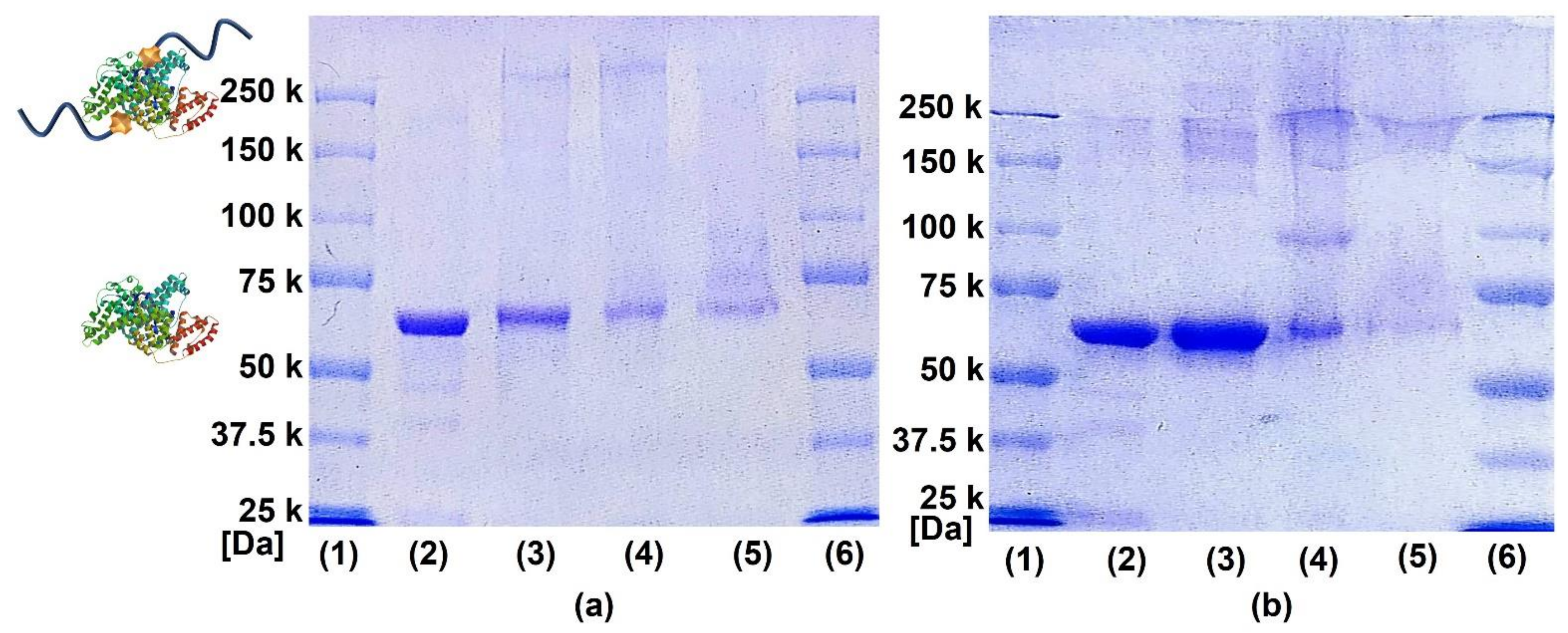 Molecules 27 01051 g003
