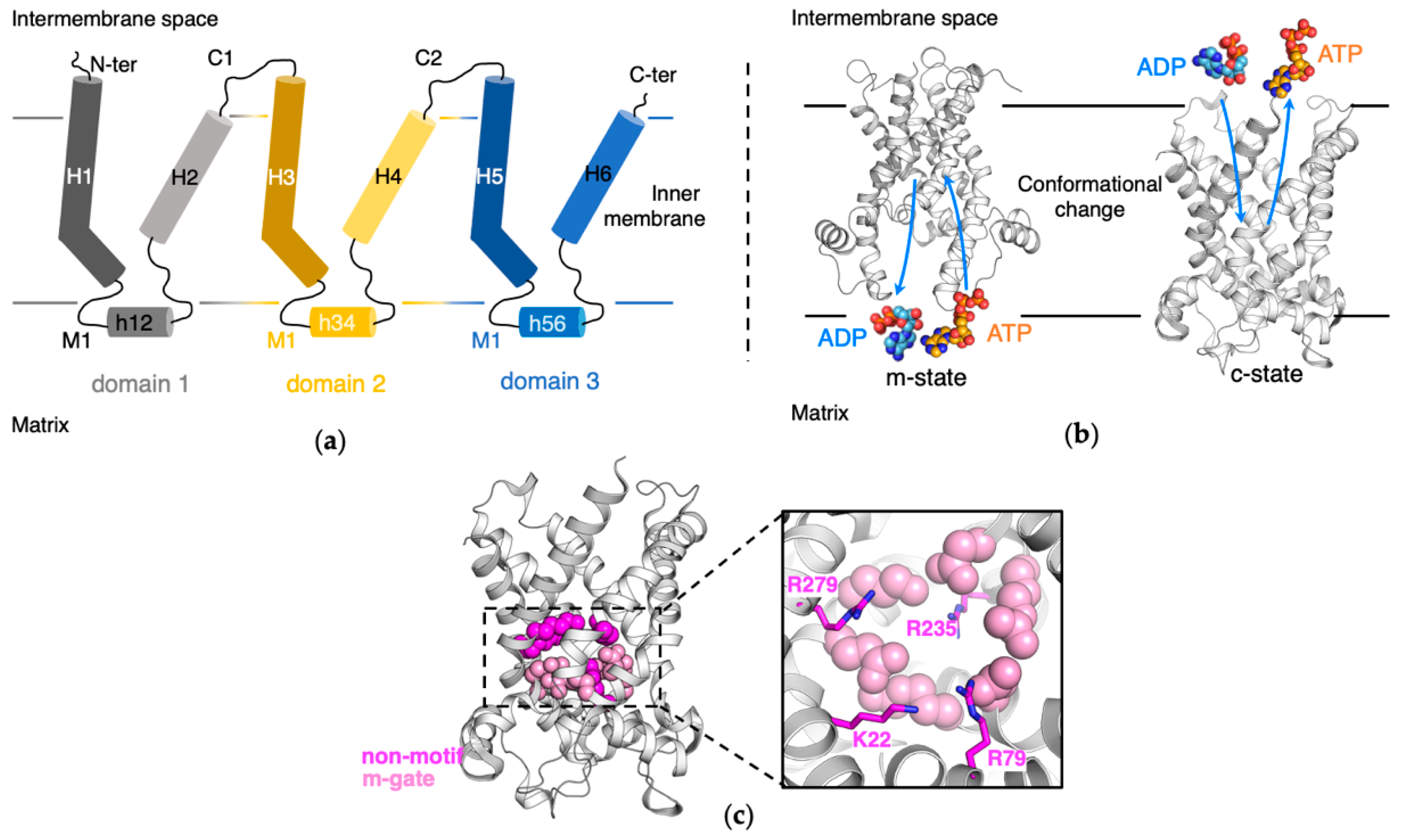 Molecules 27 01071 g001 550