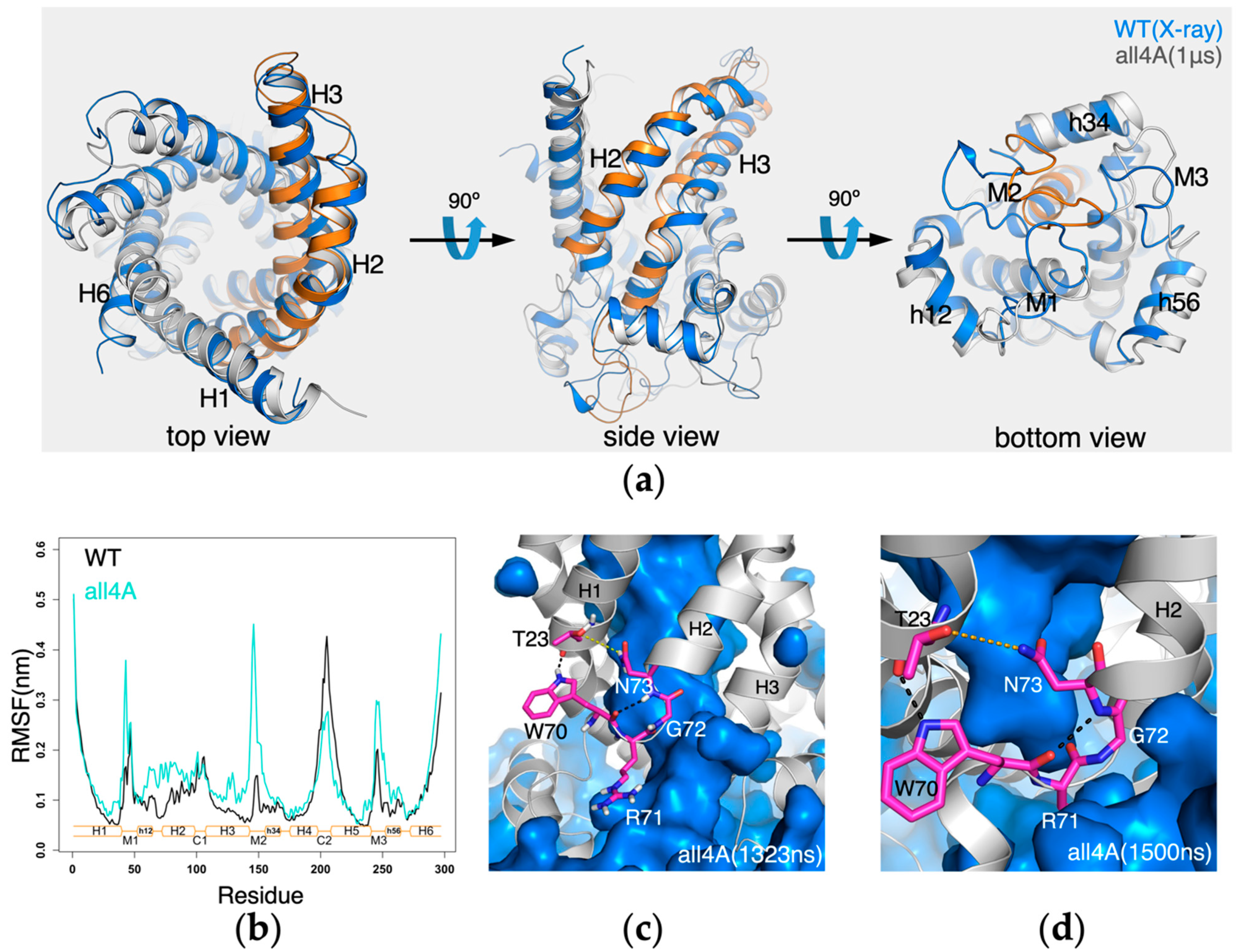 Molecules 27 01071 g007 550