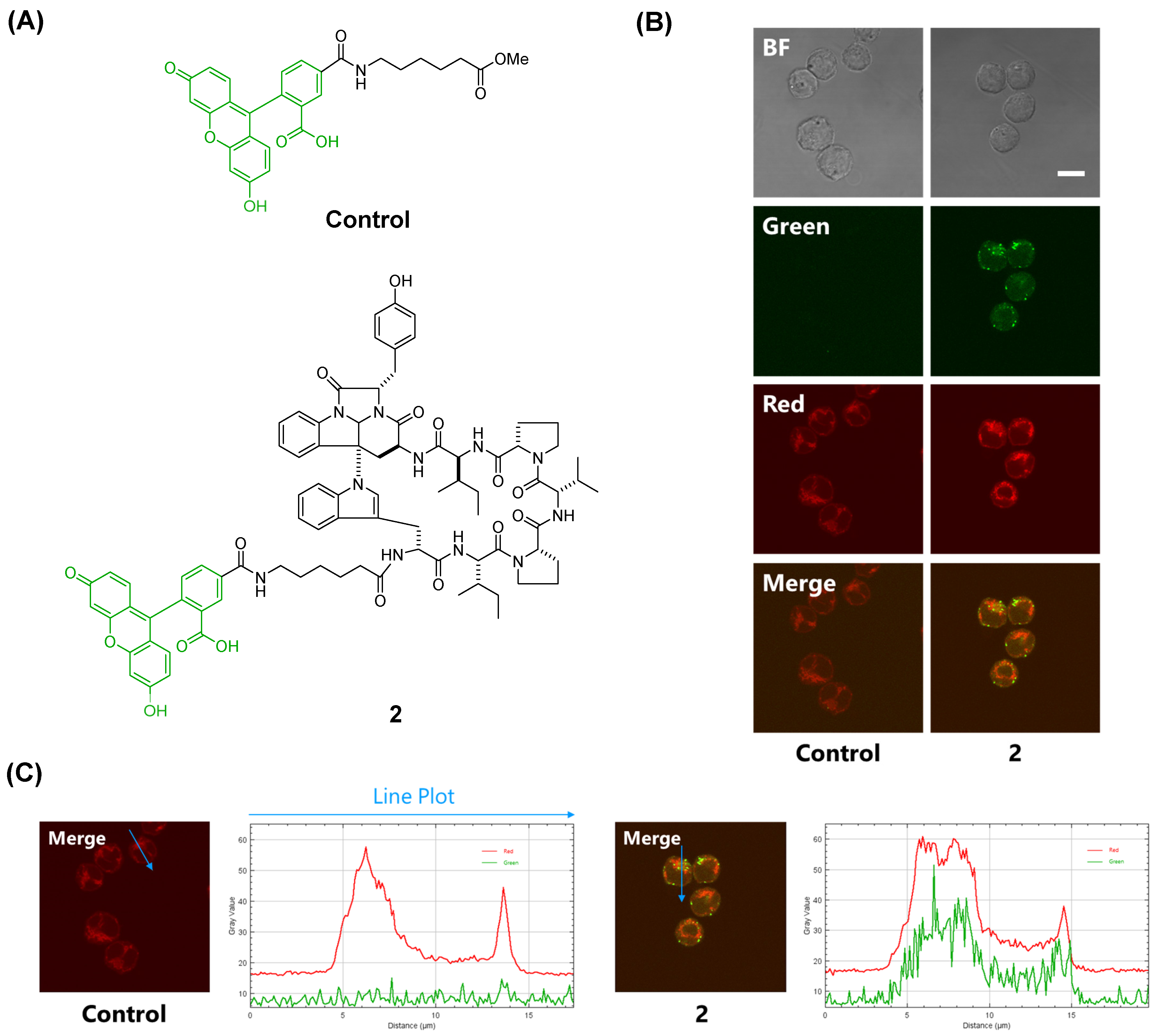 Molecules 27 01072 g002 550