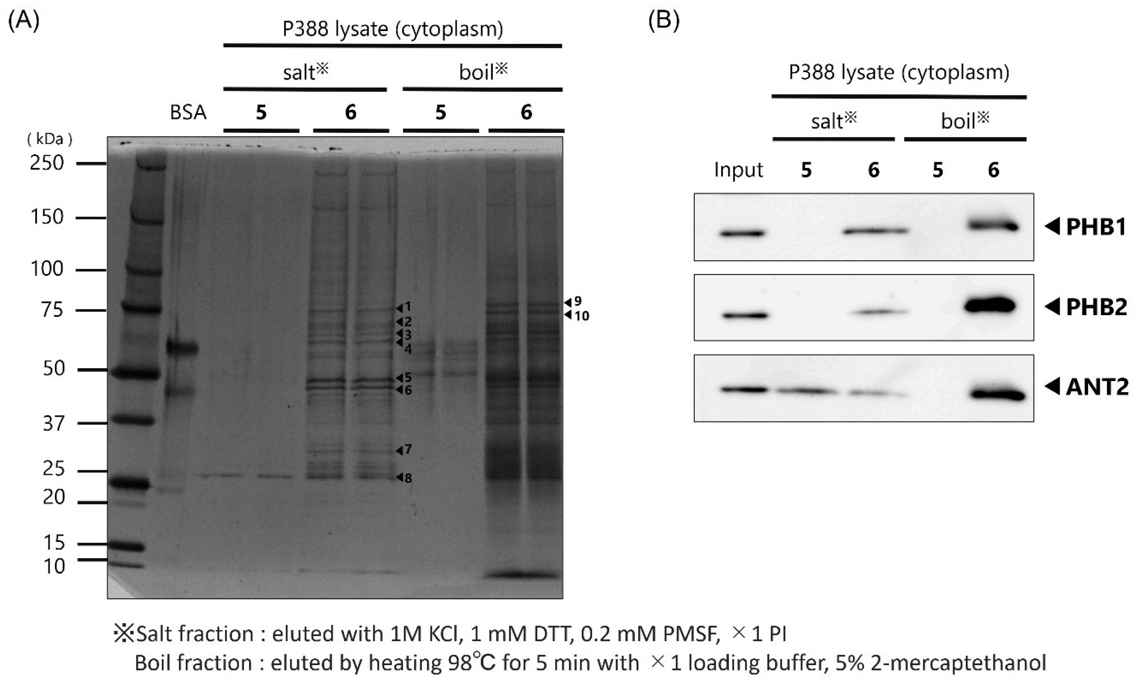 Molecules 27 01072 g003 550