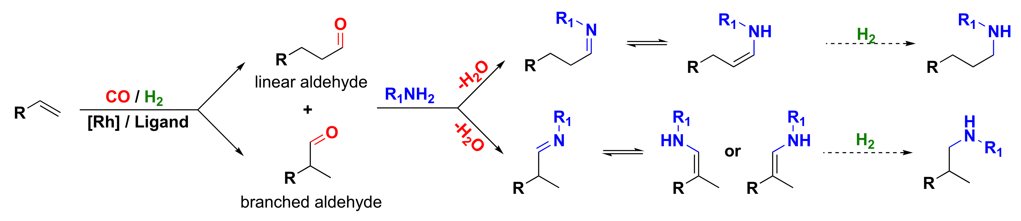 Molecules 27 01074 sch001 550