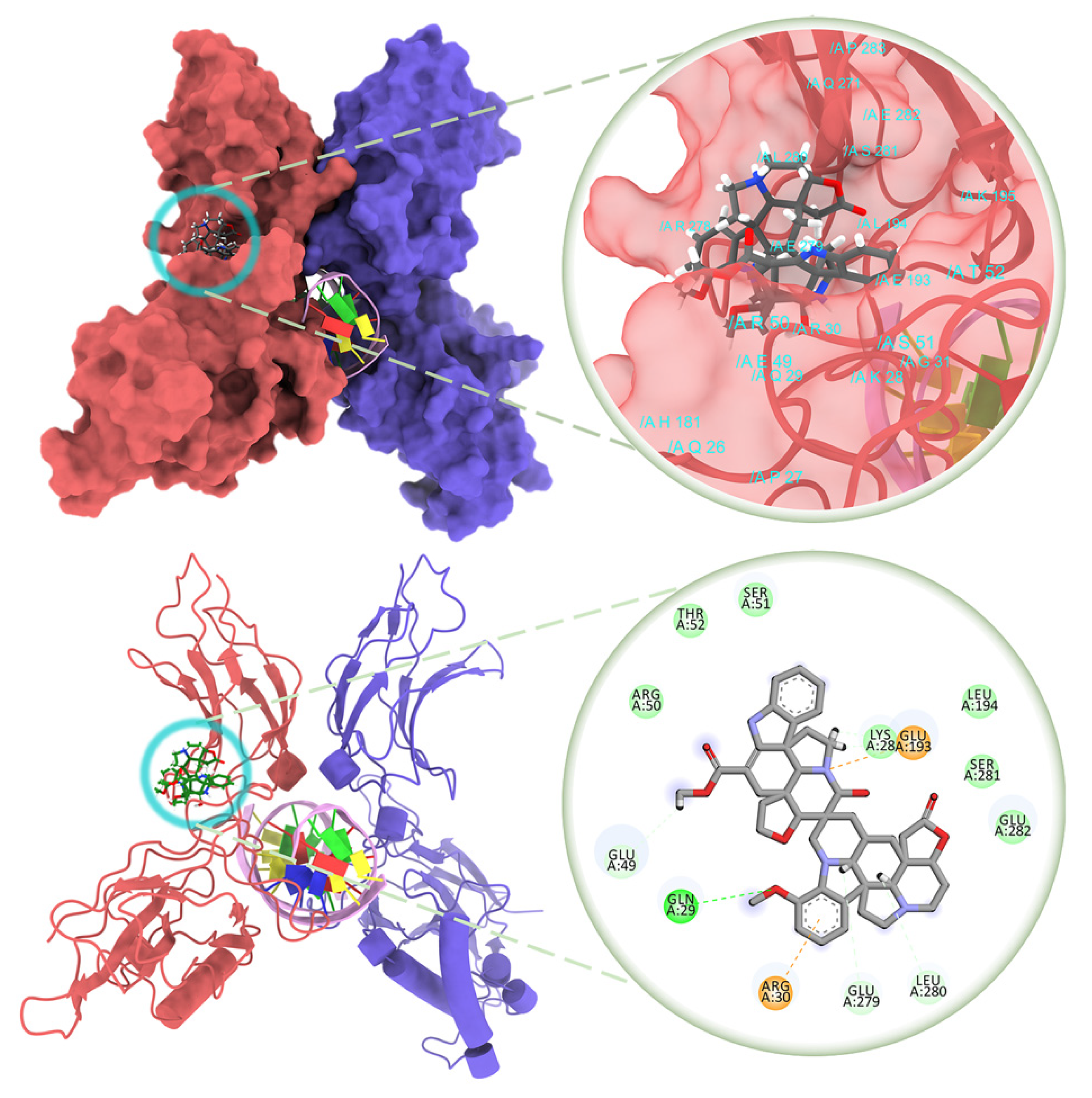 Molecules 27 01078 g004