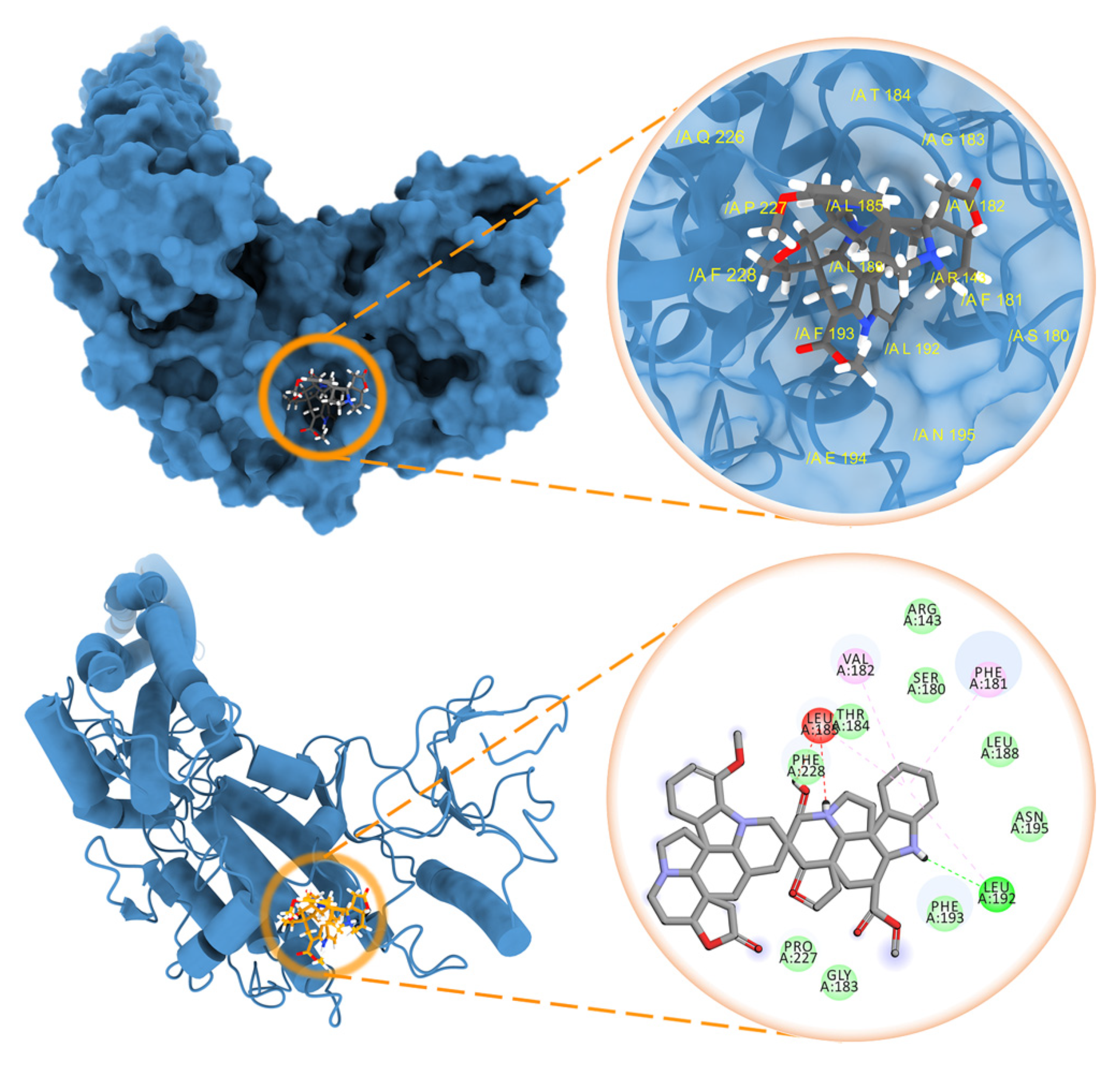 Molecules 27 01078 g005