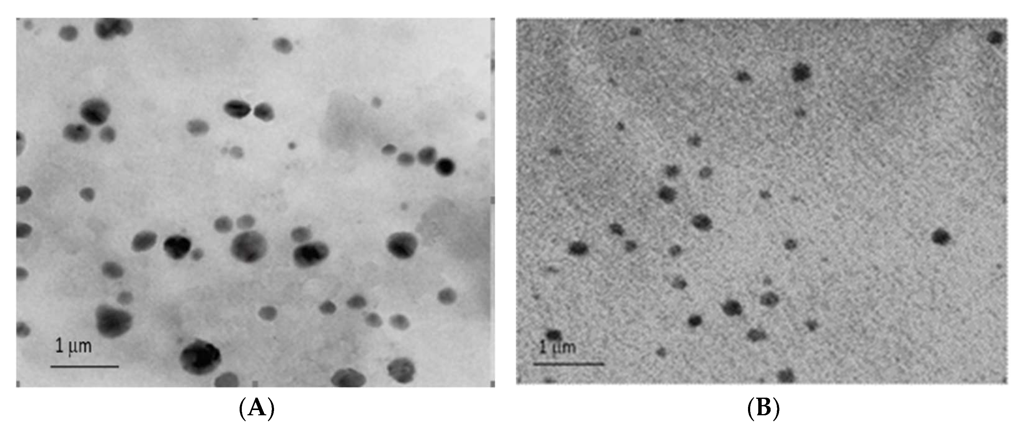 Molecules 27 01086 g004 550