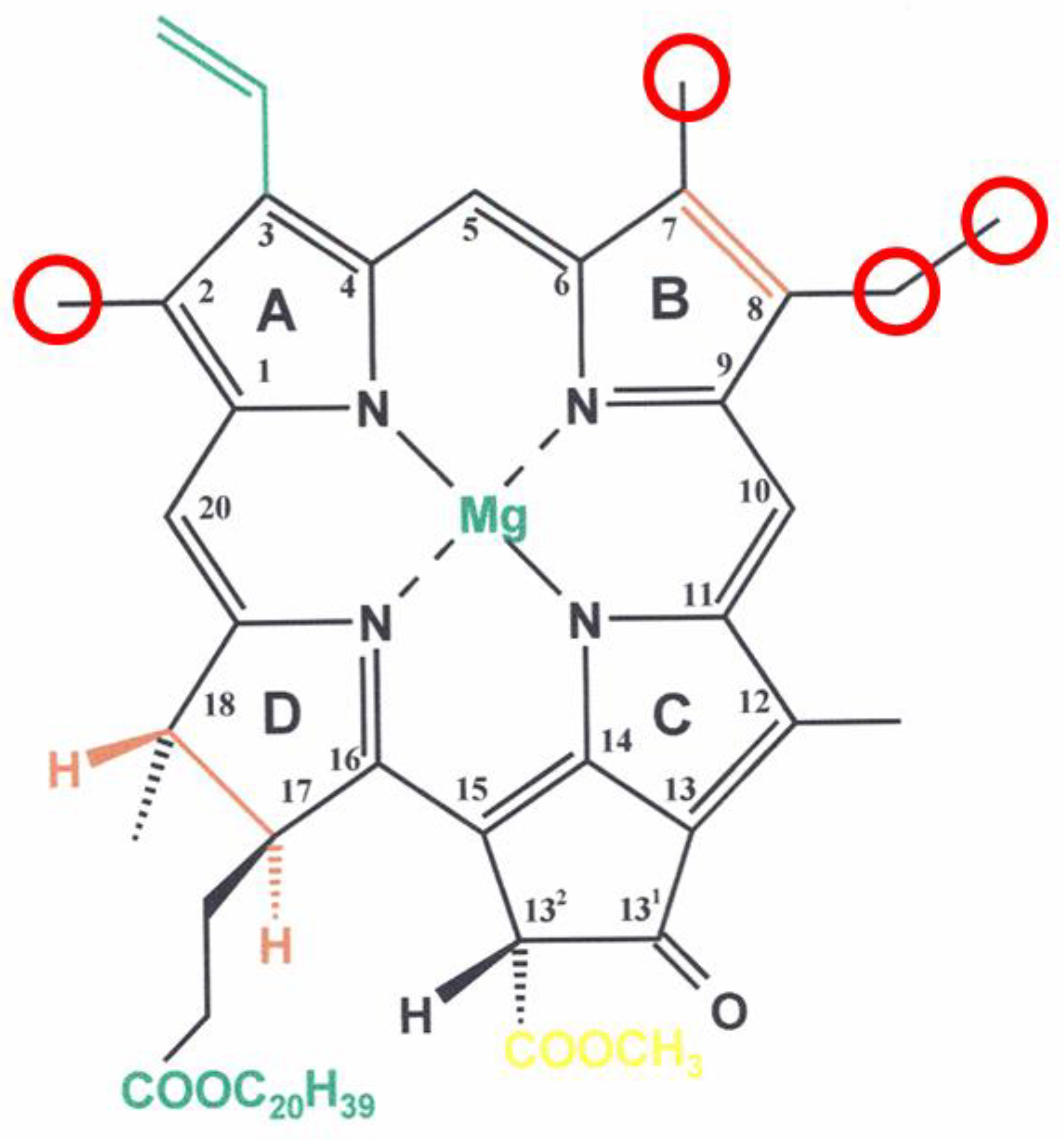 Molecules | Free Full-Text | Chlorophylls: A Personal Snapshot Molecules | Free Full-Text | Chlorophylls: A Personal Snapshot