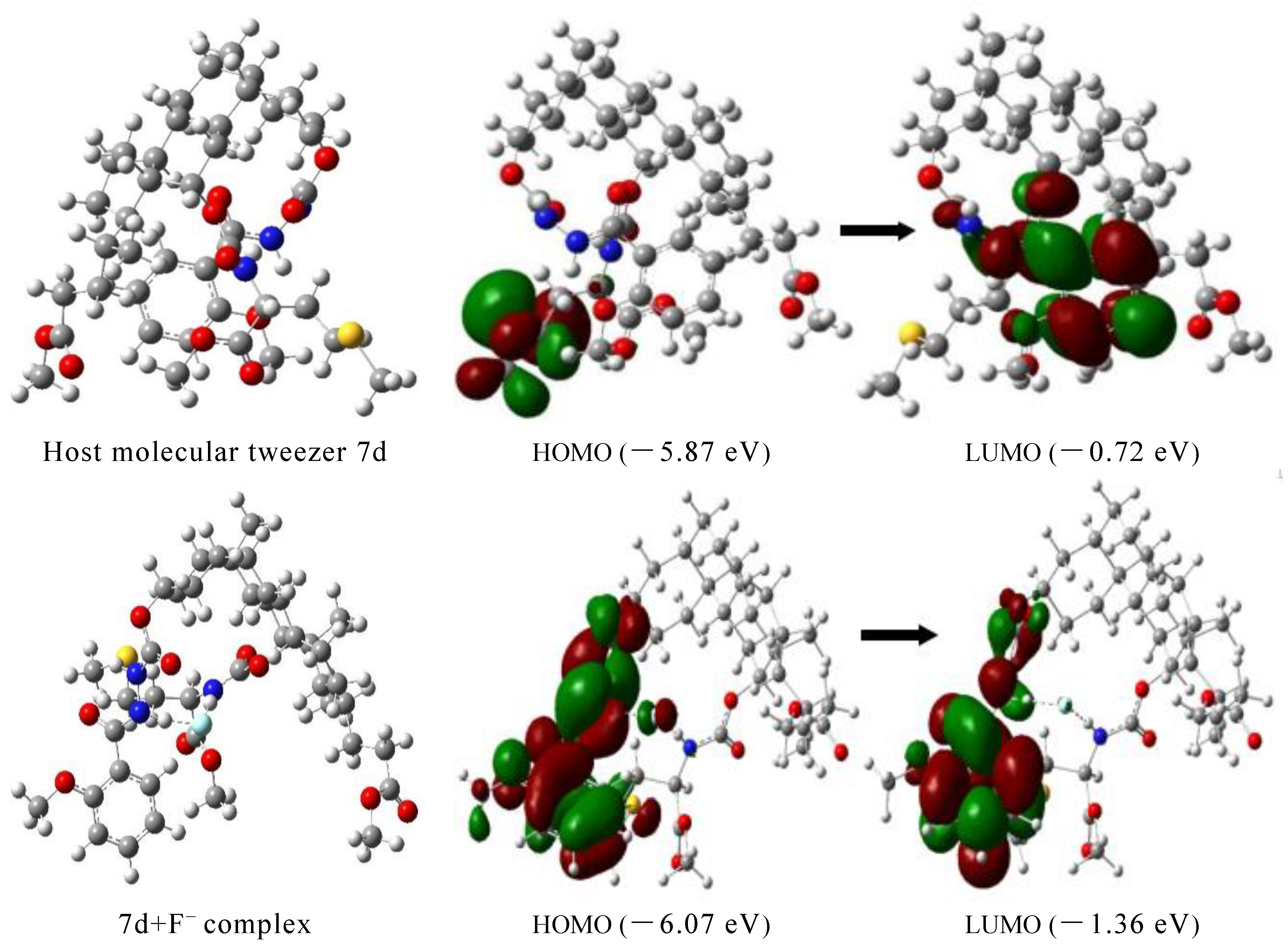 Molecules 27 01098 g006