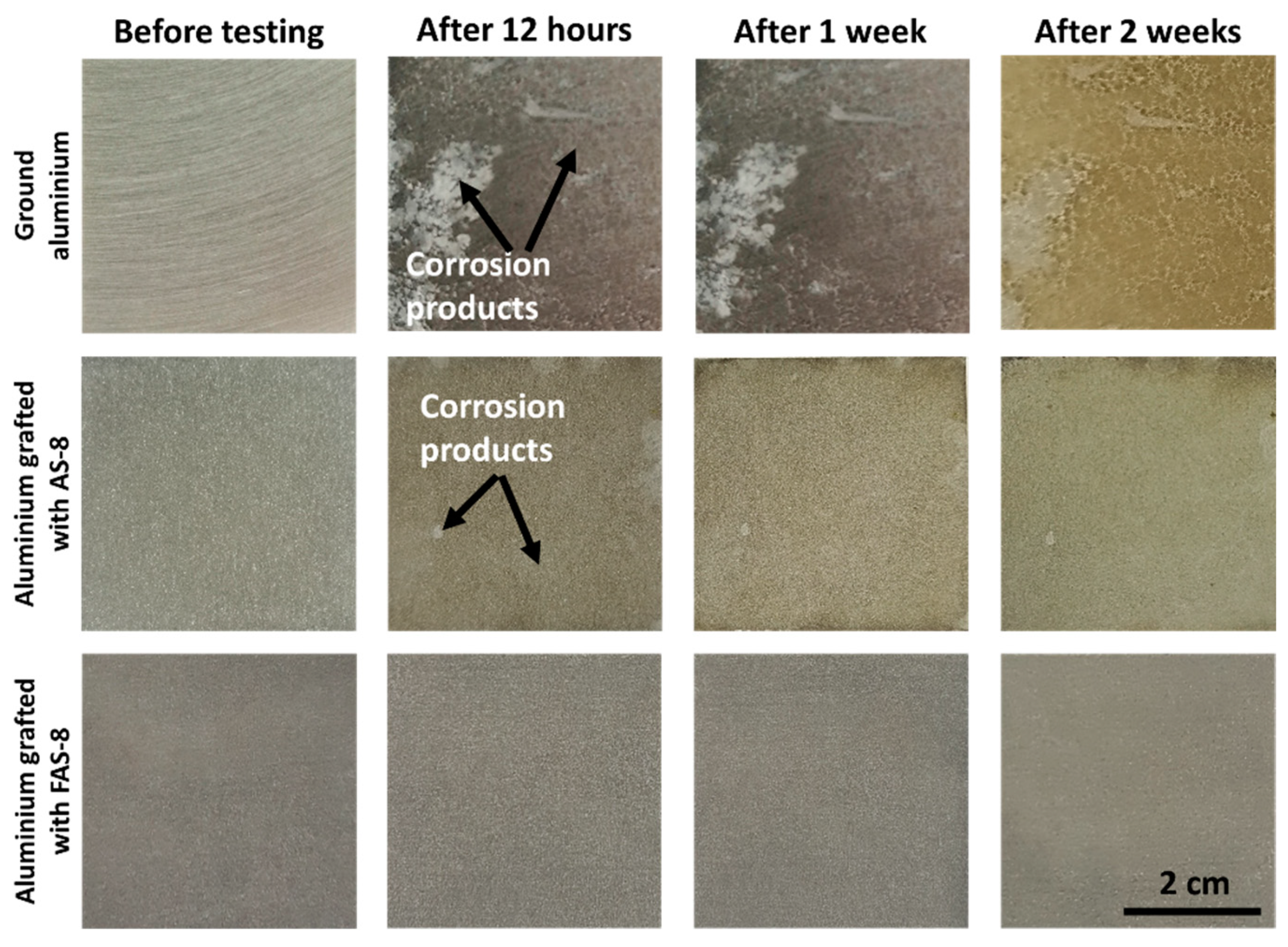 Molecules 27 01099 g009 550