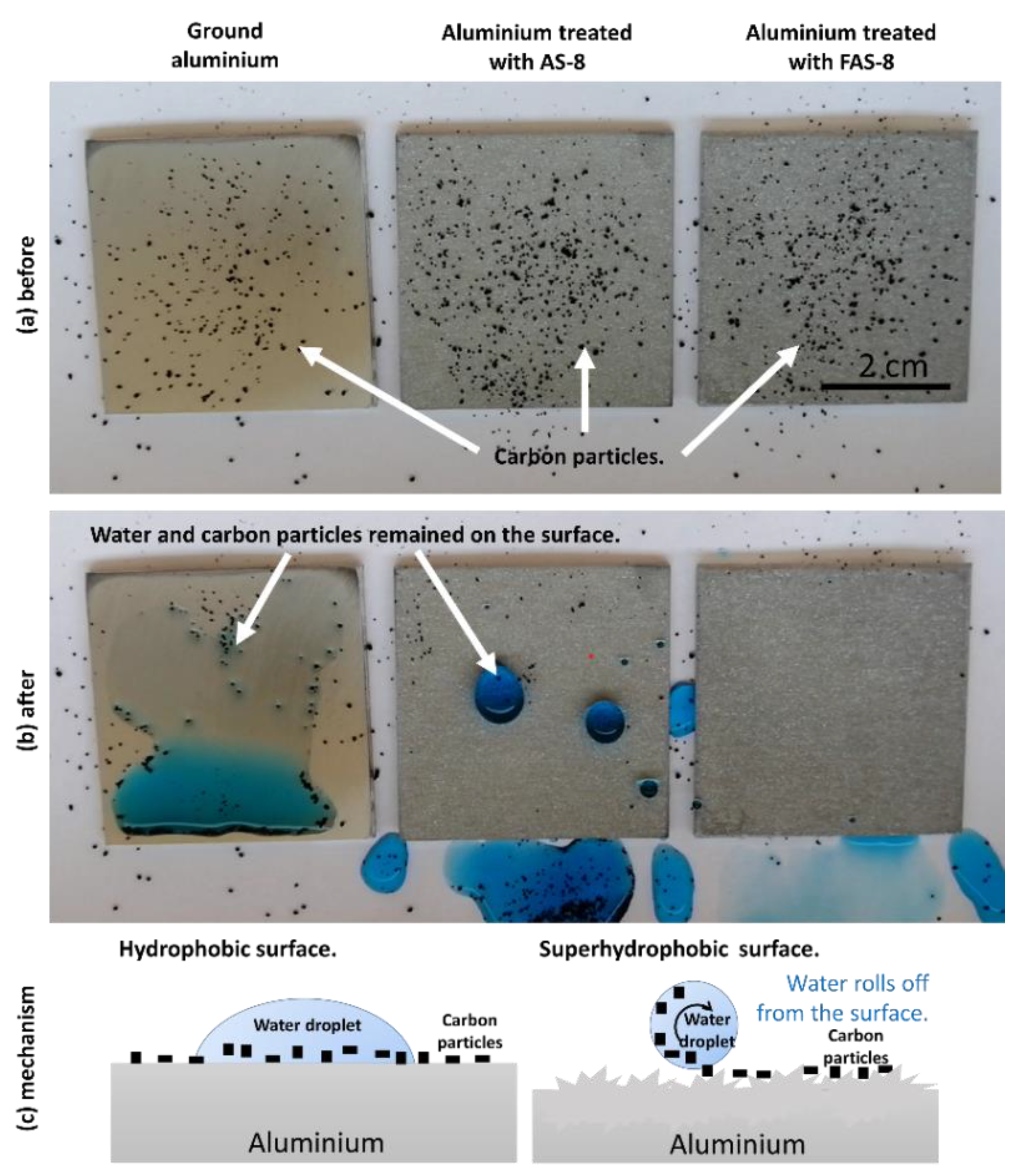 Molecules 27 01099 g010 550
