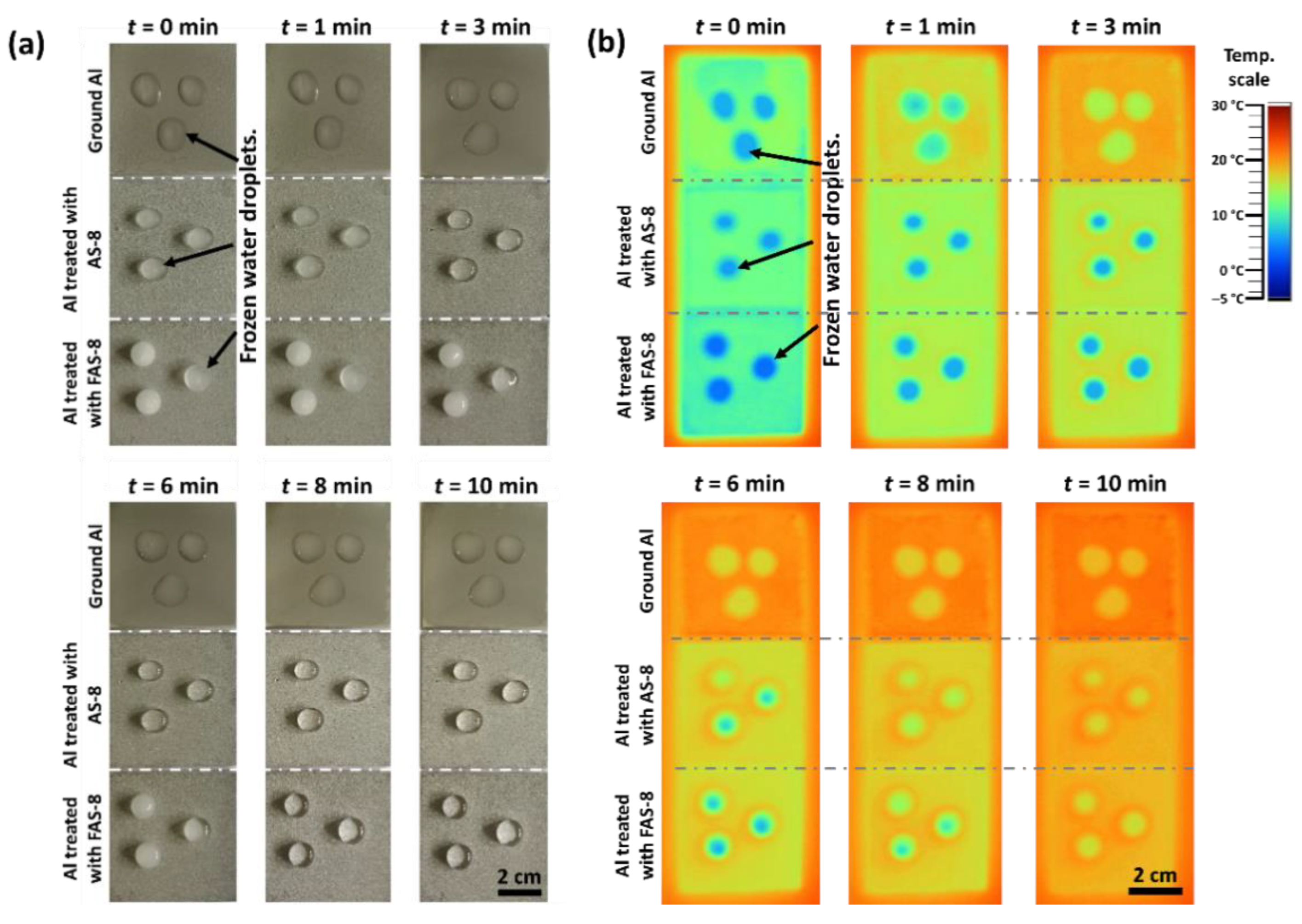 Molecules 27 01099 g011 550