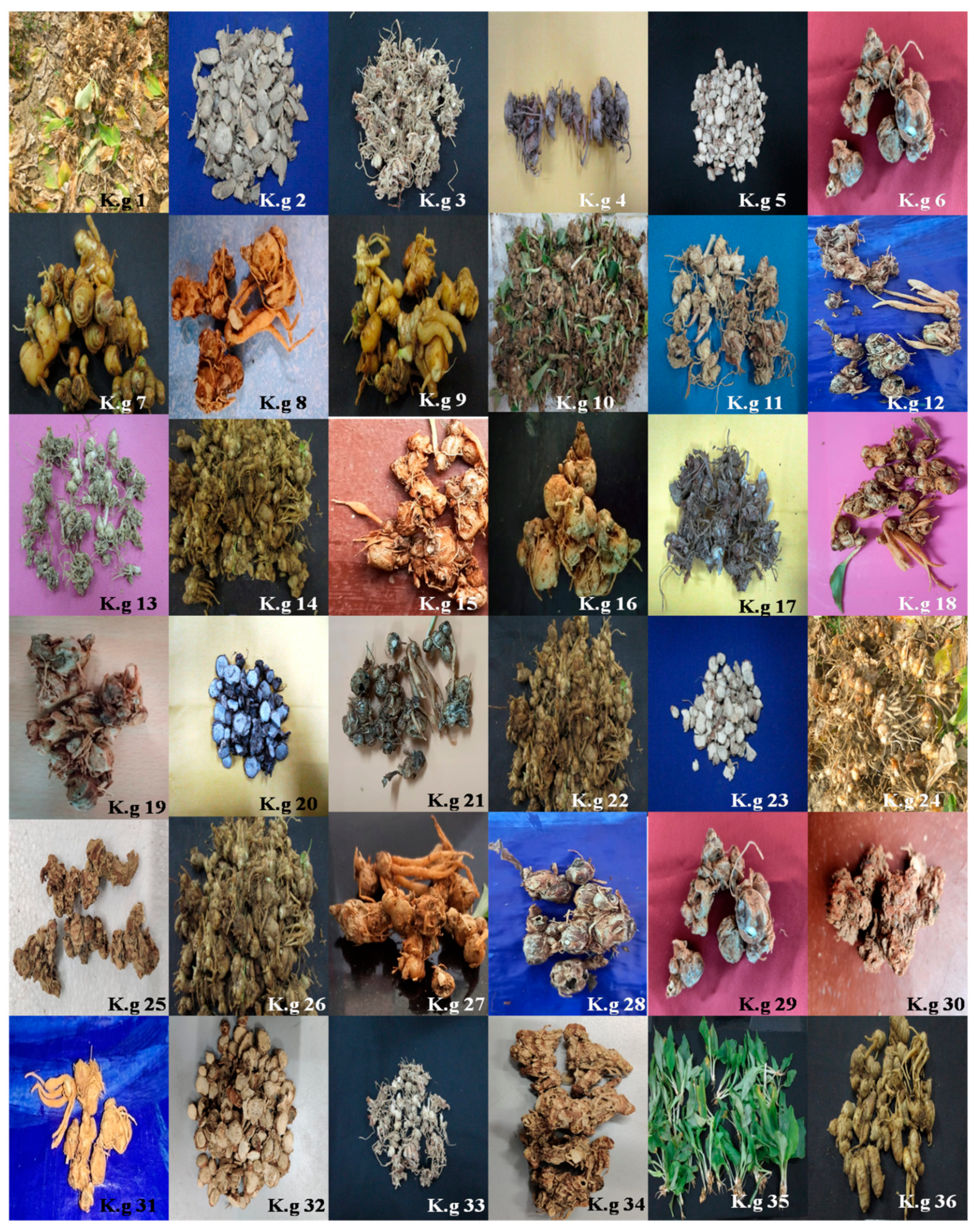 Molecules 27 01116 g001