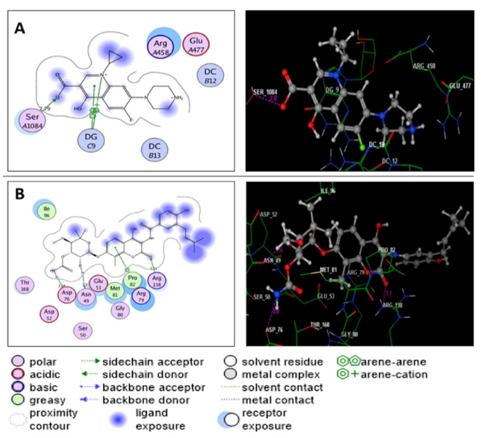 Molecules 27 01117 g003