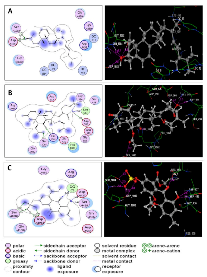 Molecules 27 01117 g004