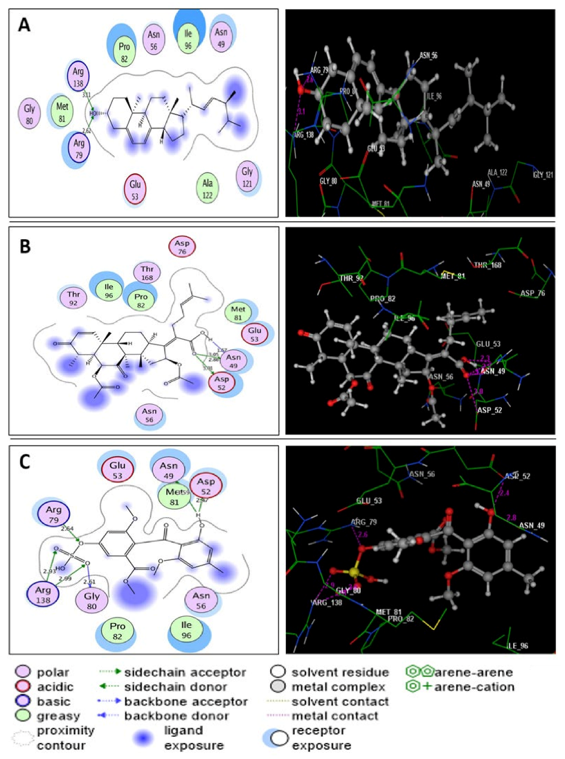 Molecules 27 01117 g005