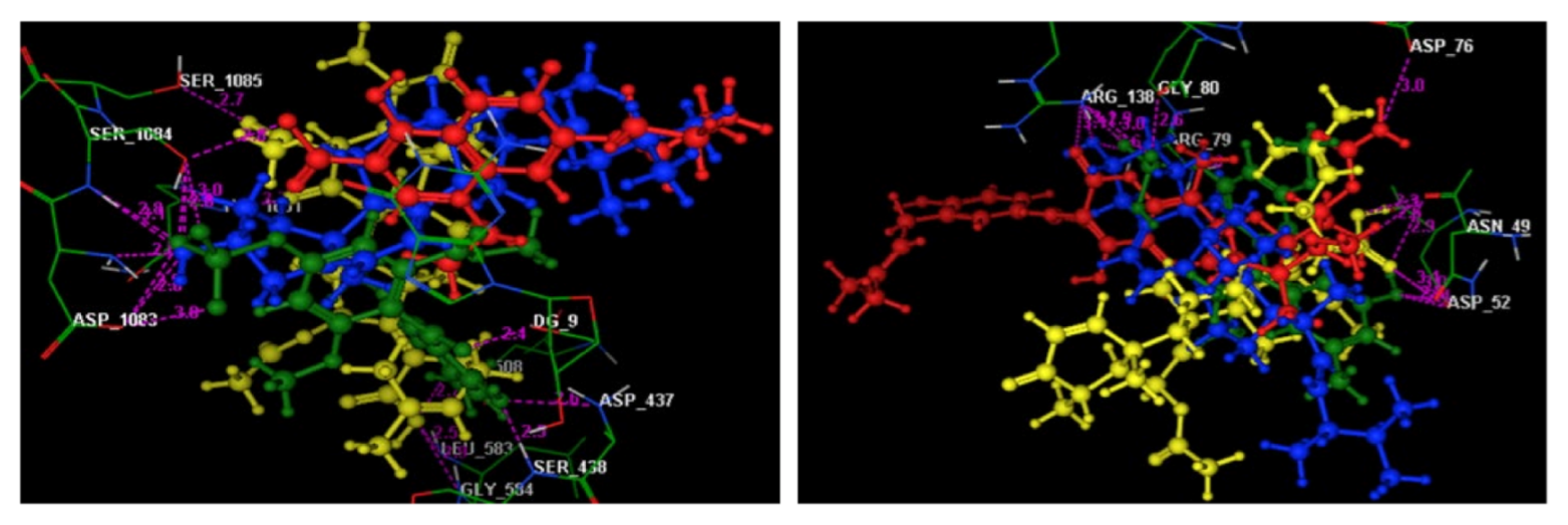 Molecules 27 01117 g006
