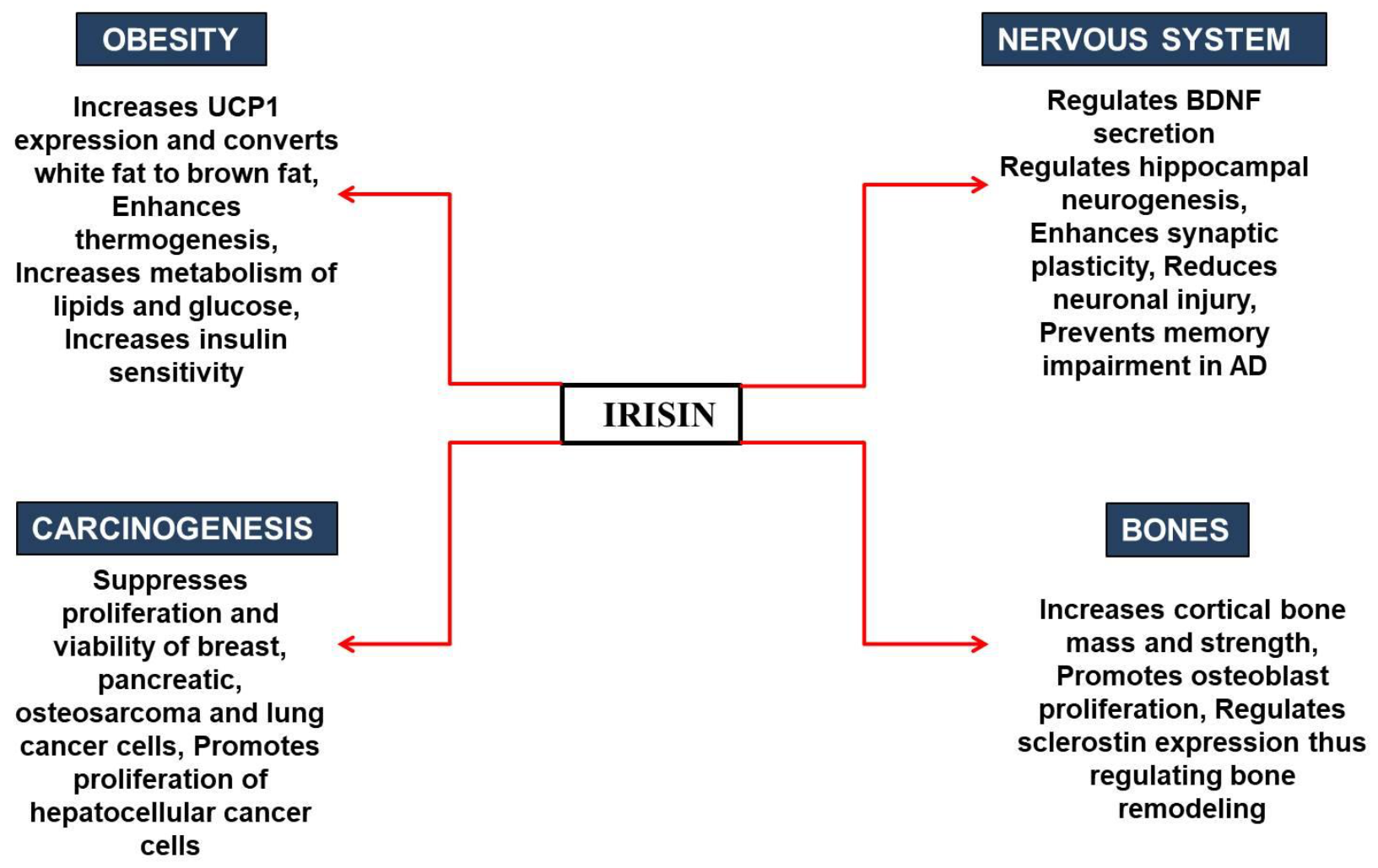 Molecules 27 01118 g005