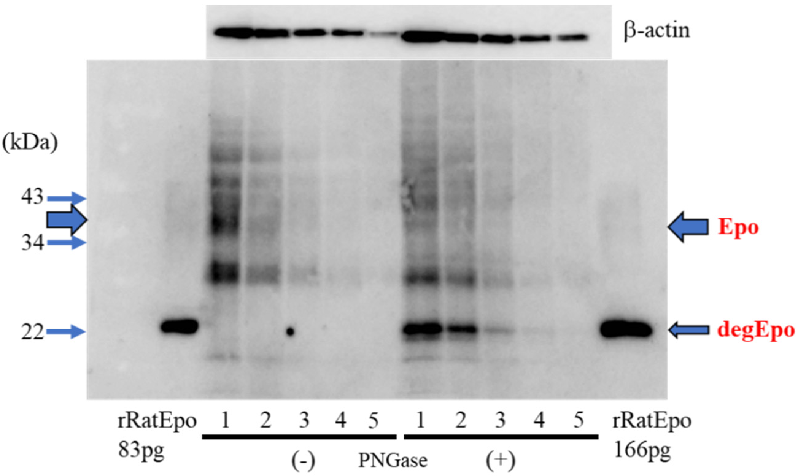 Molecules 27 01119 g001