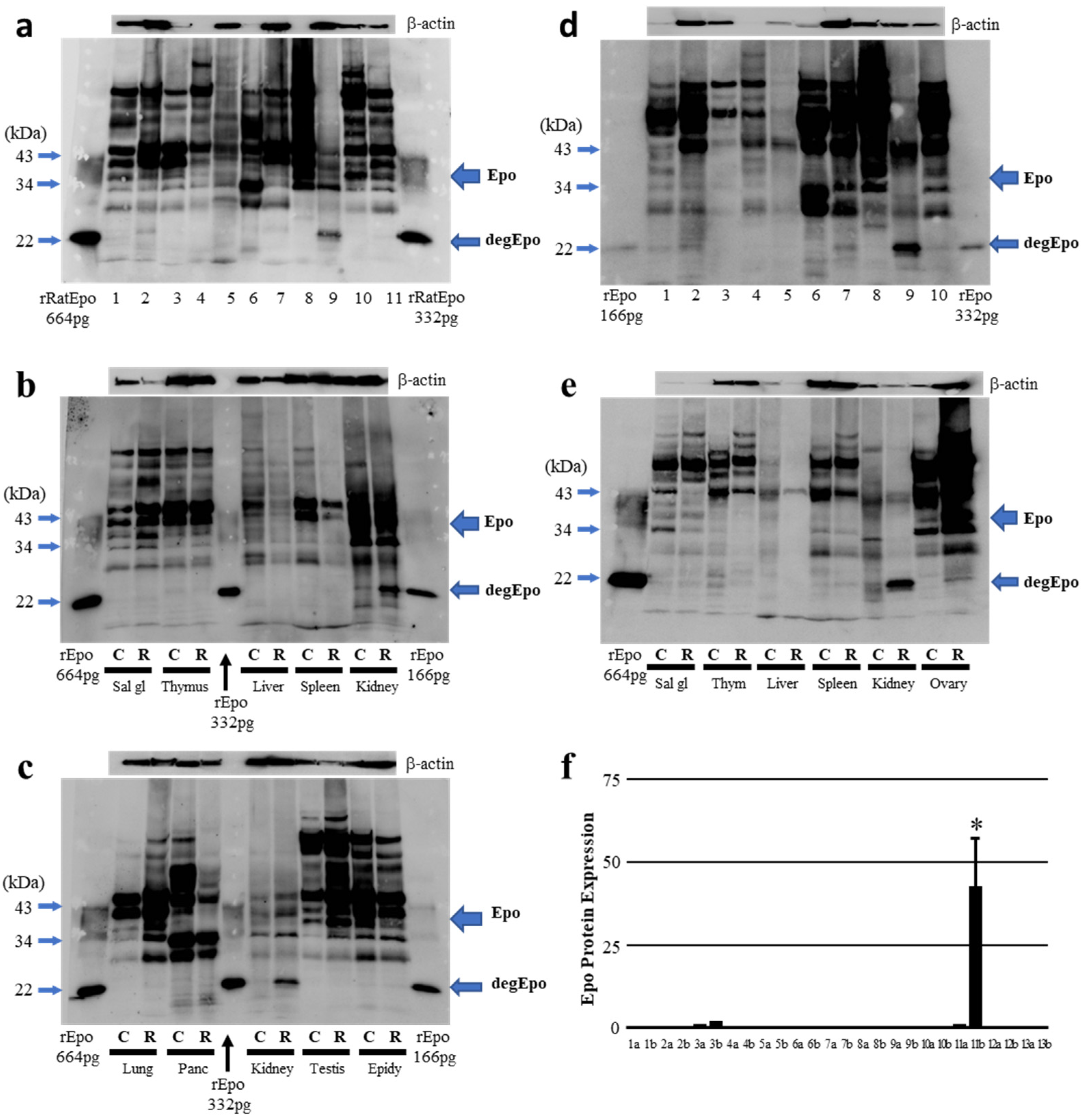 Molecules 27 01119 g002
