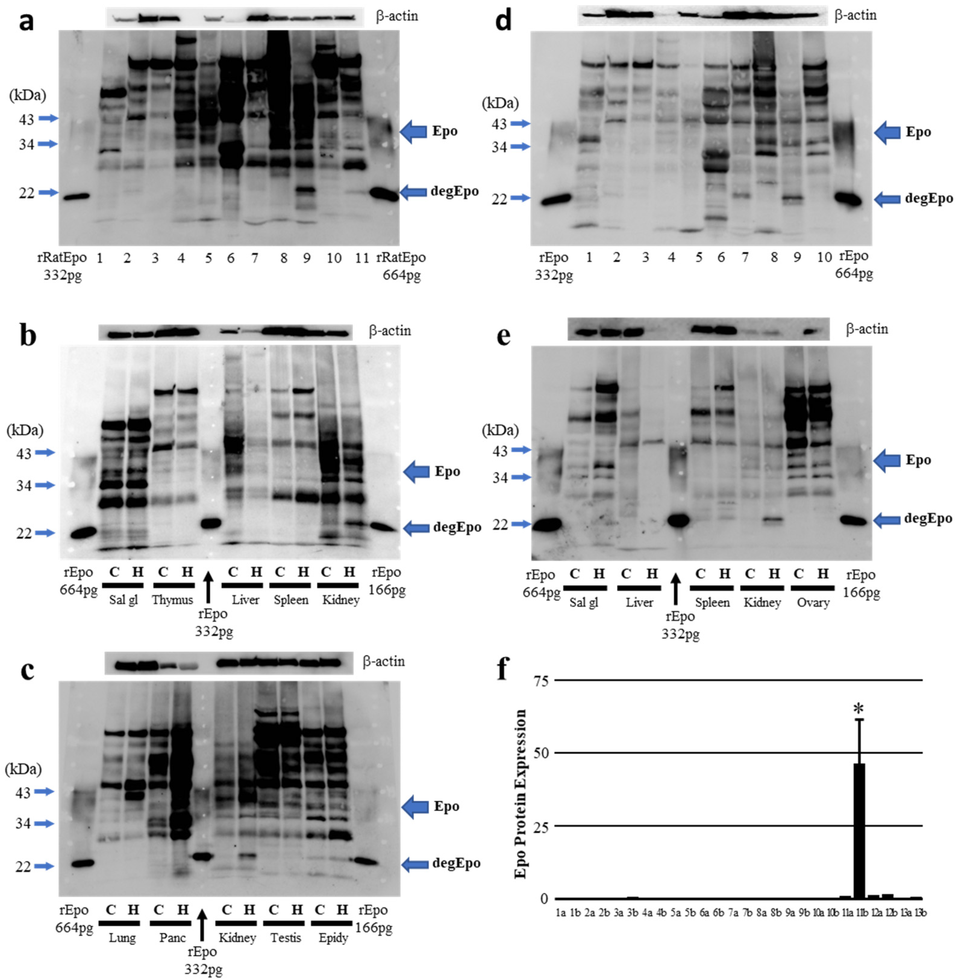 Molecules 27 01119 g003