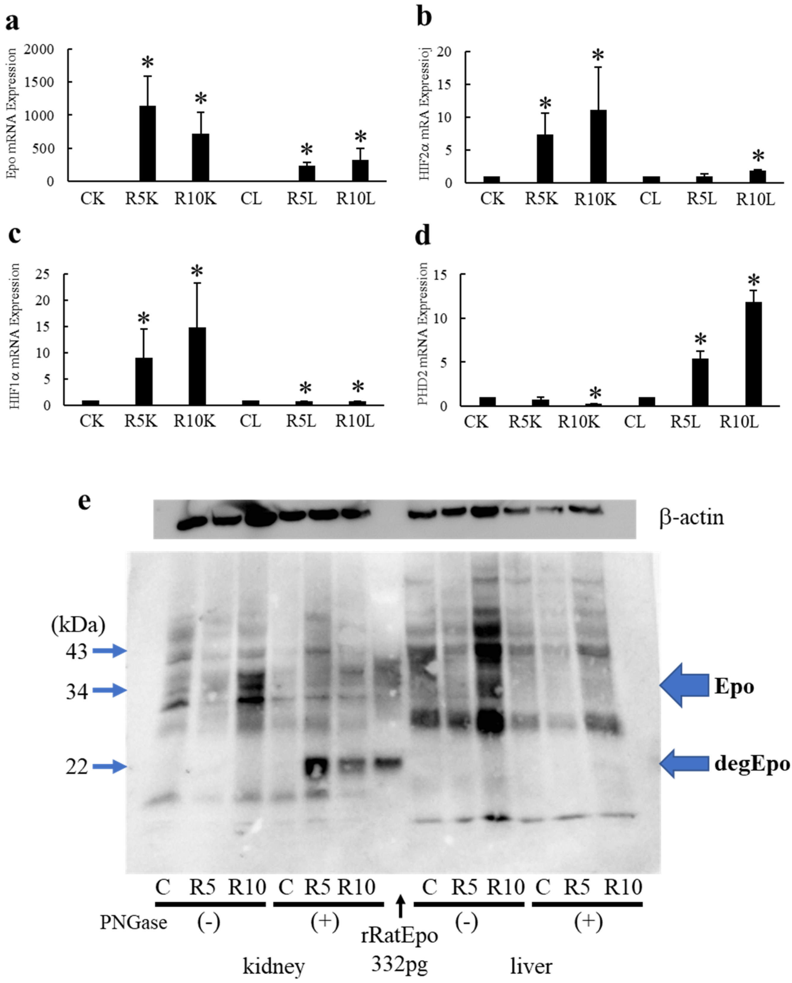 Molecules 27 01119 g004