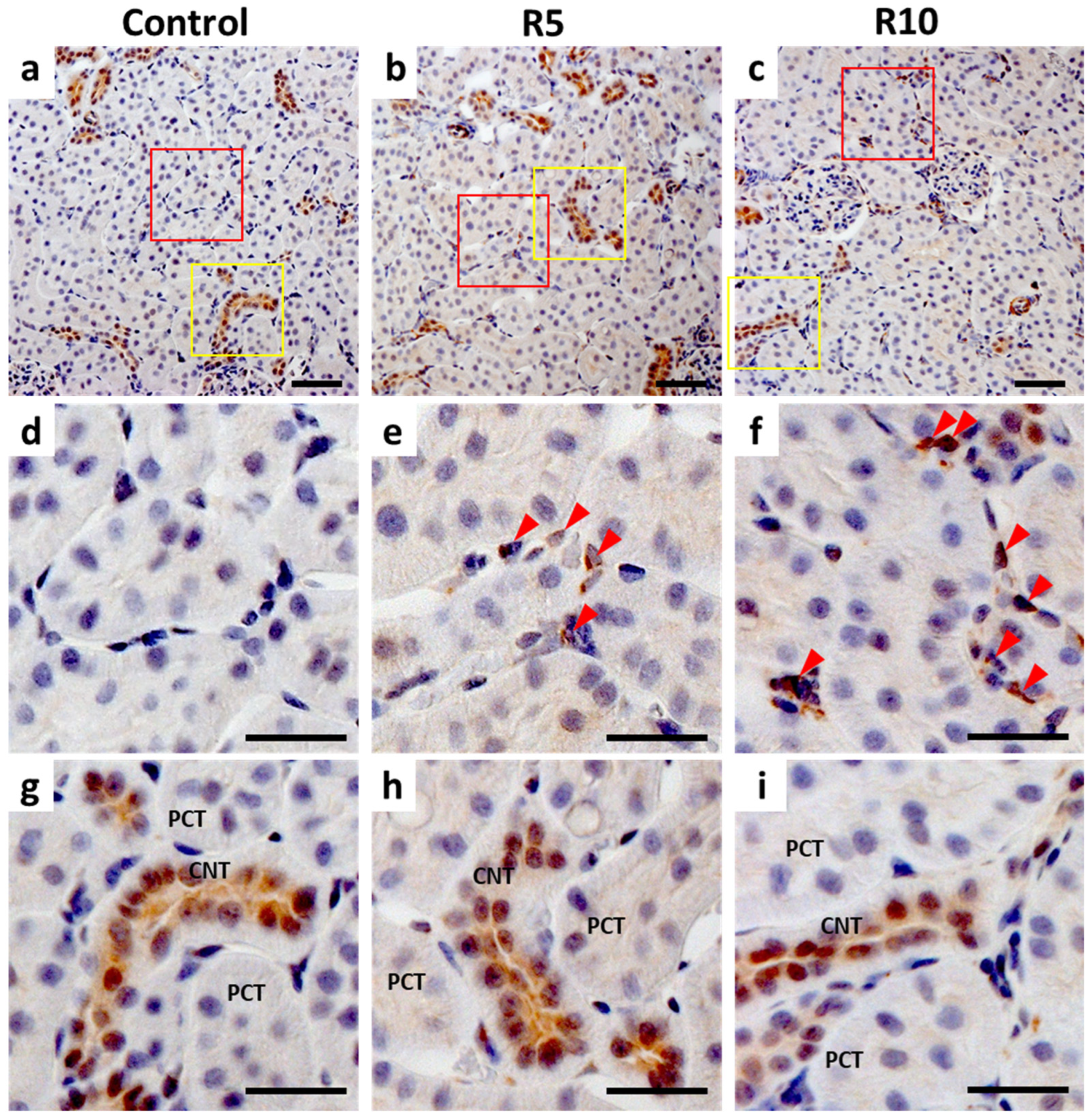Molecules 27 01119 g005