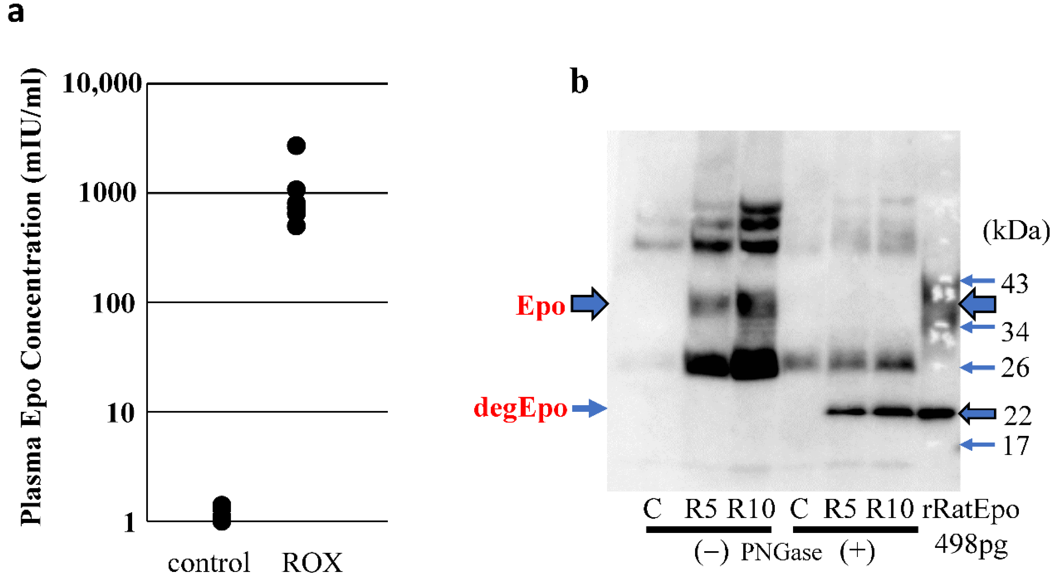 Molecules 27 01119 g006