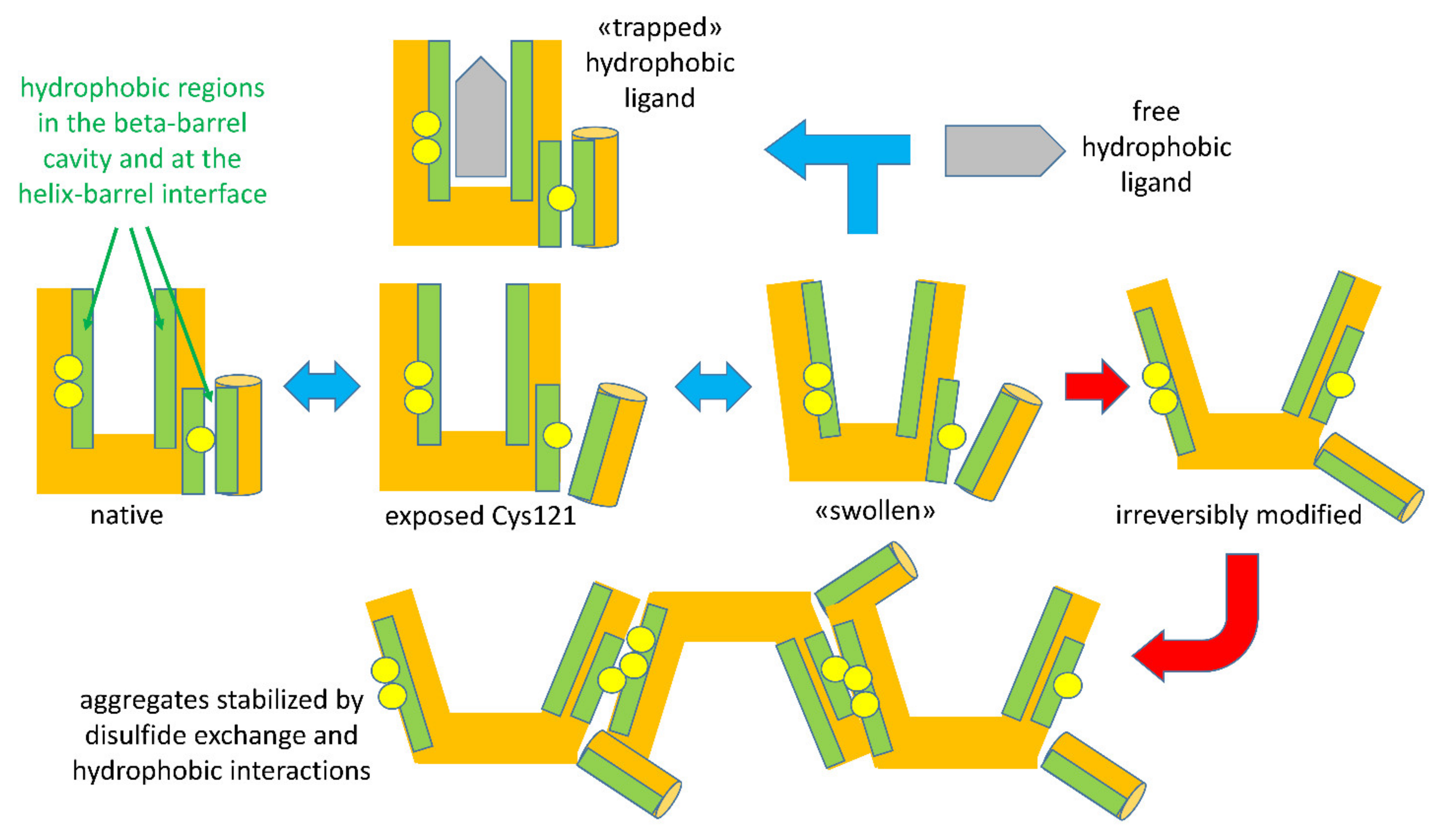 Molecules 27 01131 g003 550