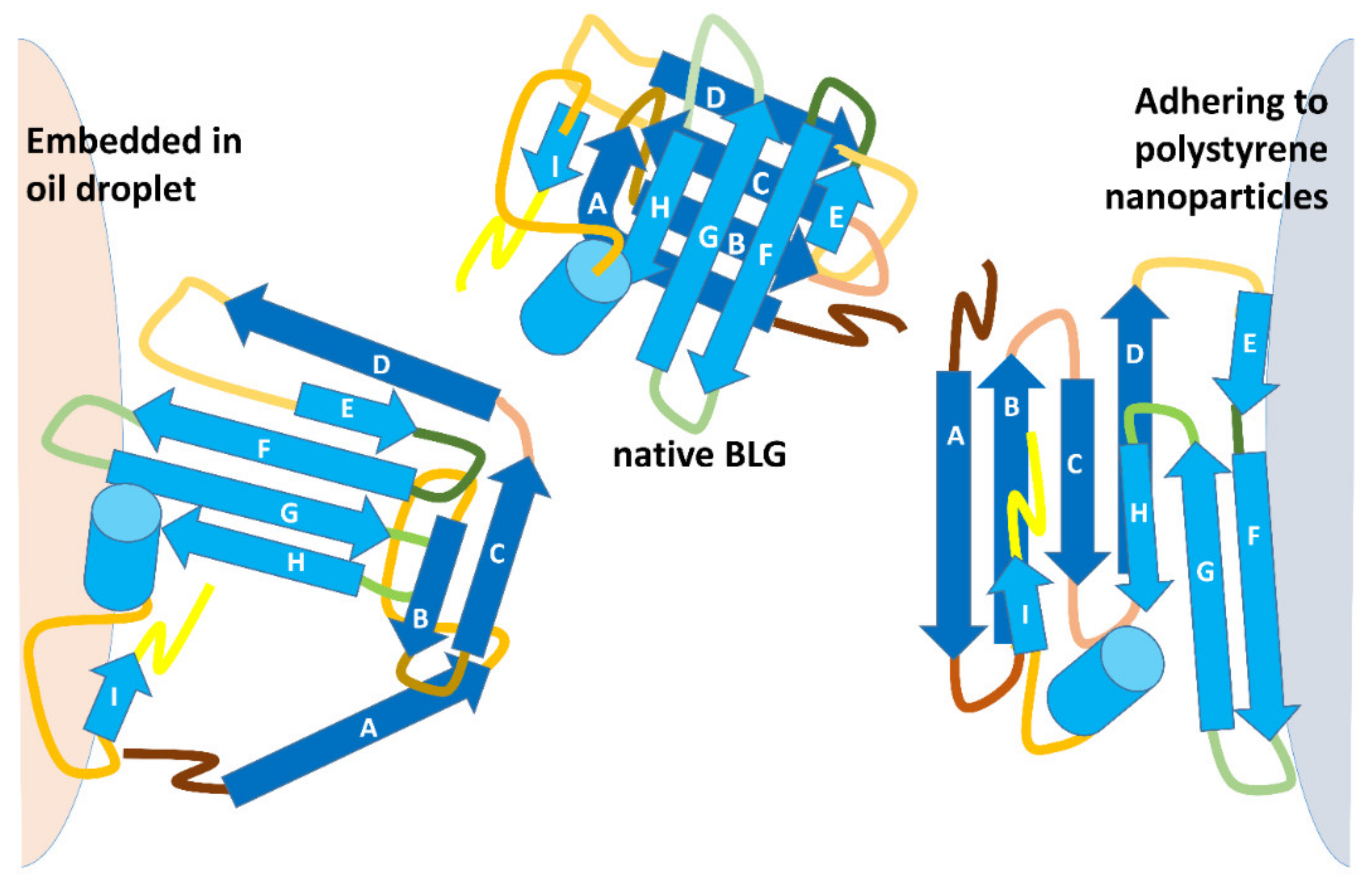 Molecules 27 01131 g004 550