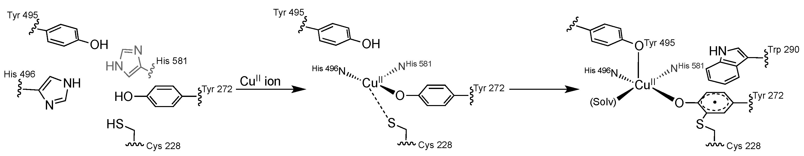 Molecules 27 01135 sch001 Molecules 27 01135 sch001