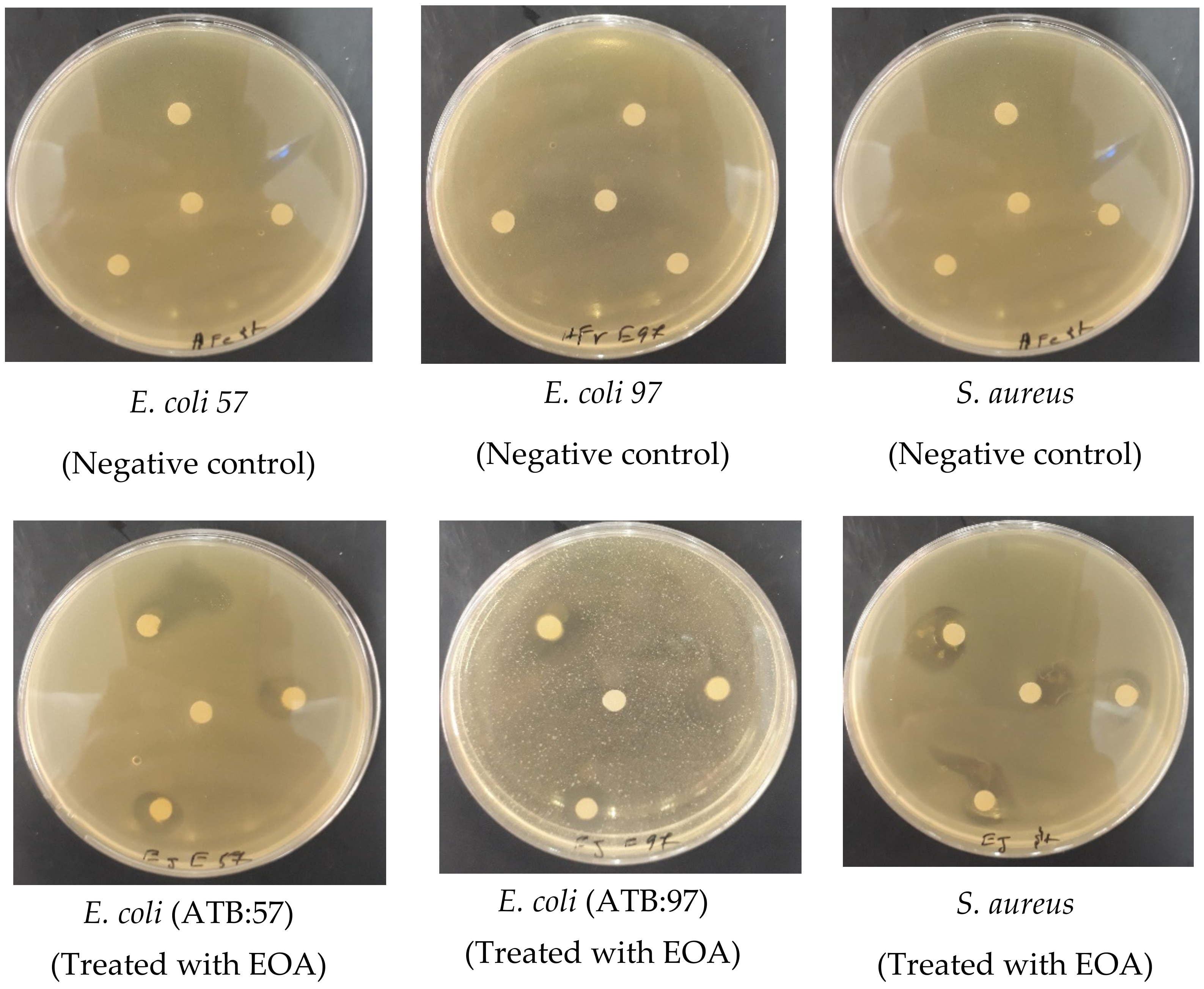 Molecules 27 01136 g005 550