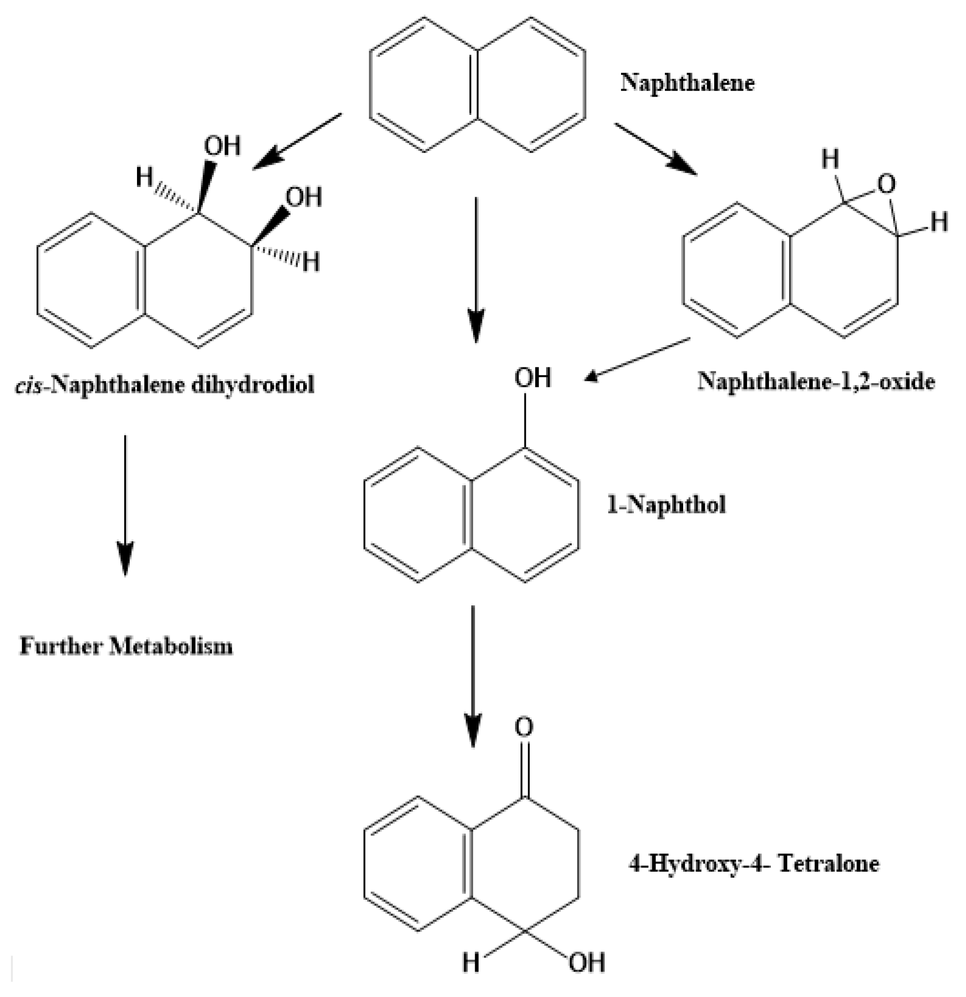Molecules 27 01141 g003