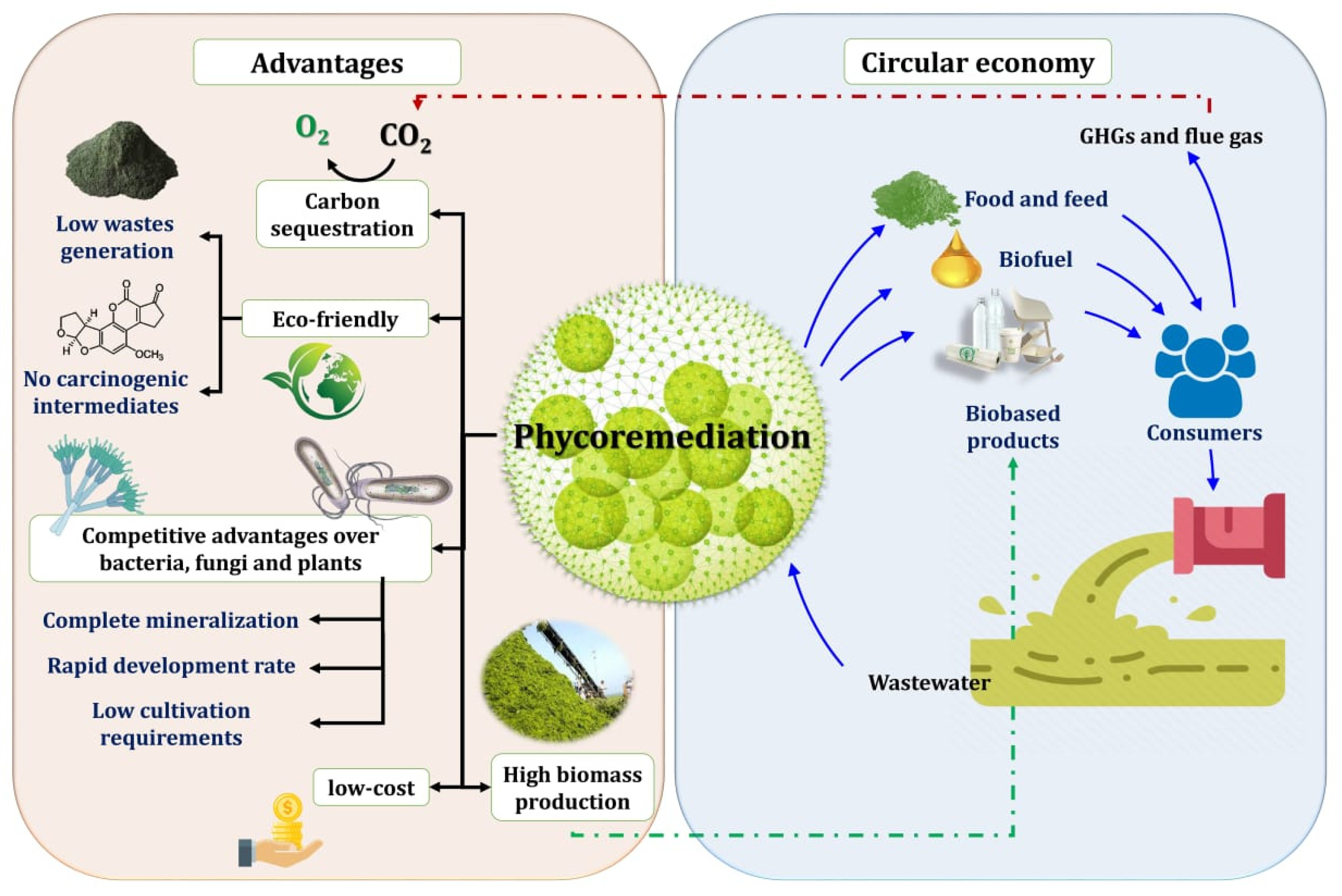 Molecules 27 01141 g004