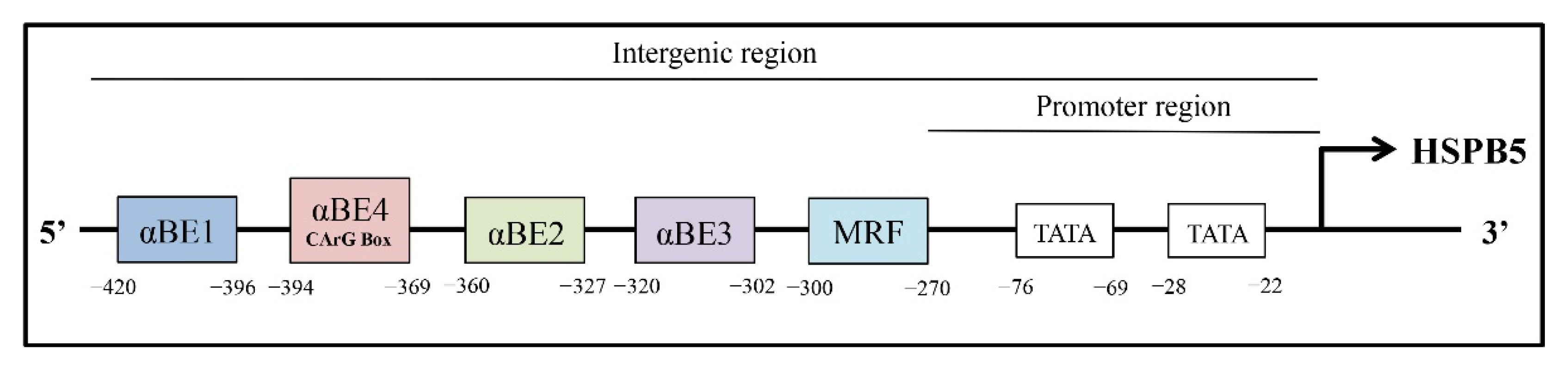 Molecules 27 01147 g002