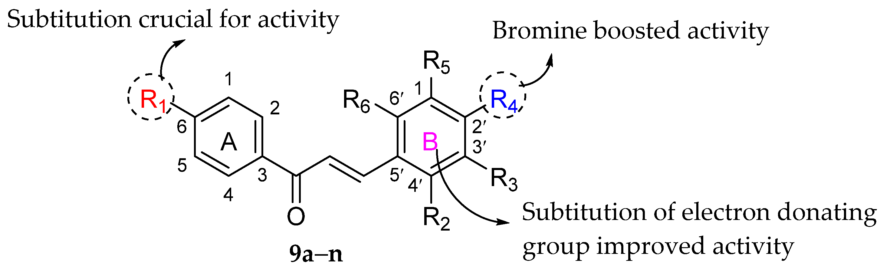 Molecules 27 01149 g025 550