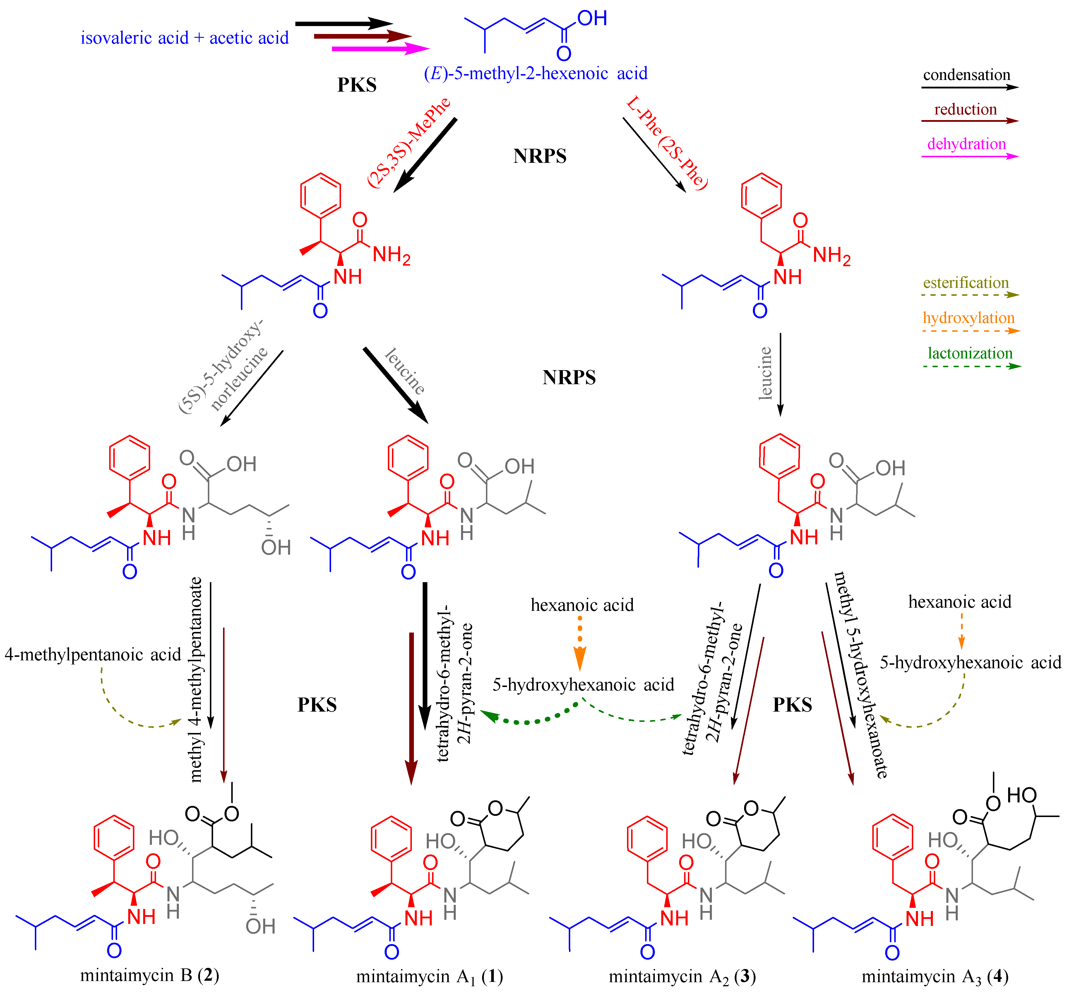 Molecules 27 01150 g004 550